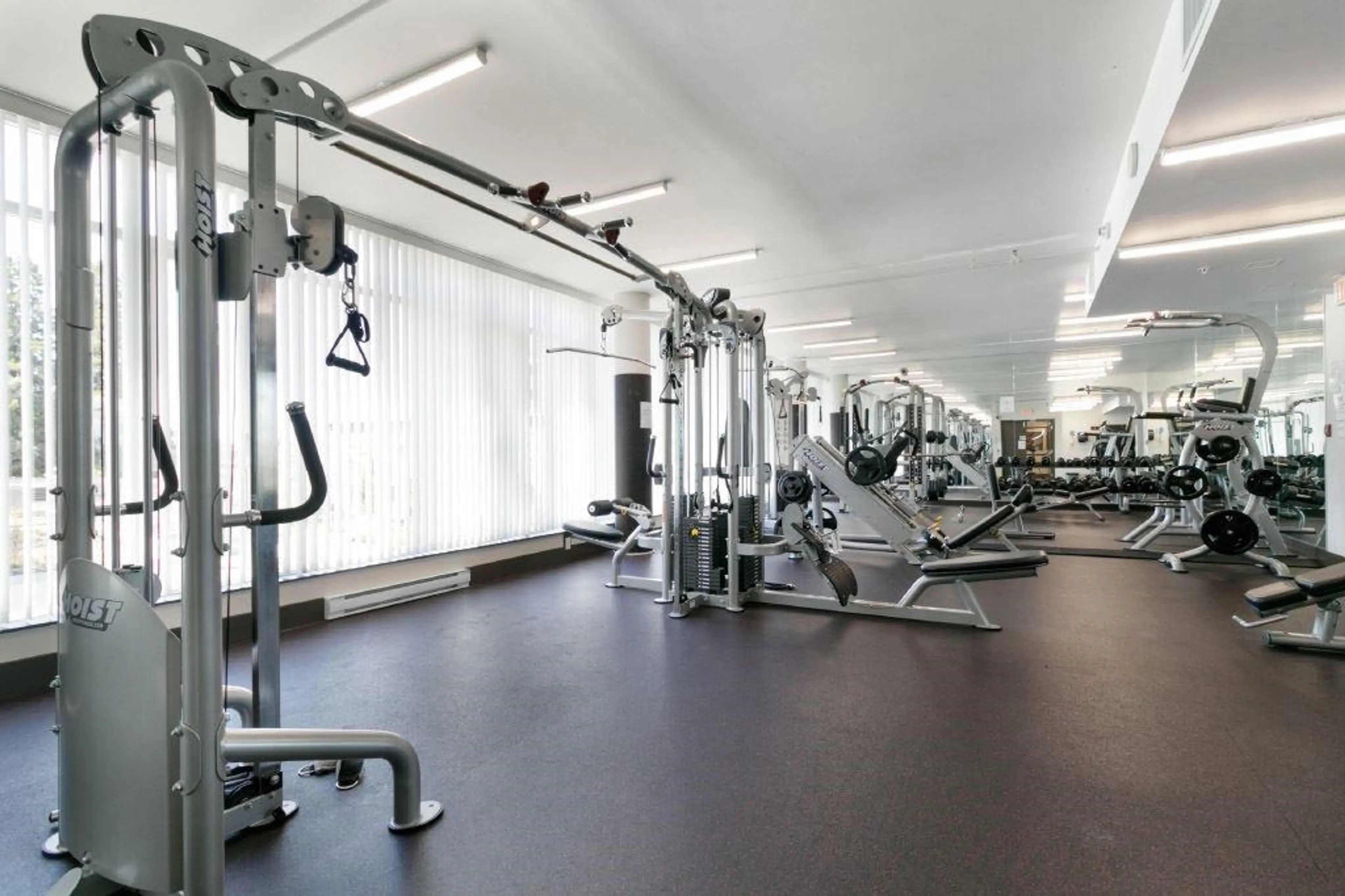 Property at #1103 4815 ELDORADO MEWS, Vancouver, BC