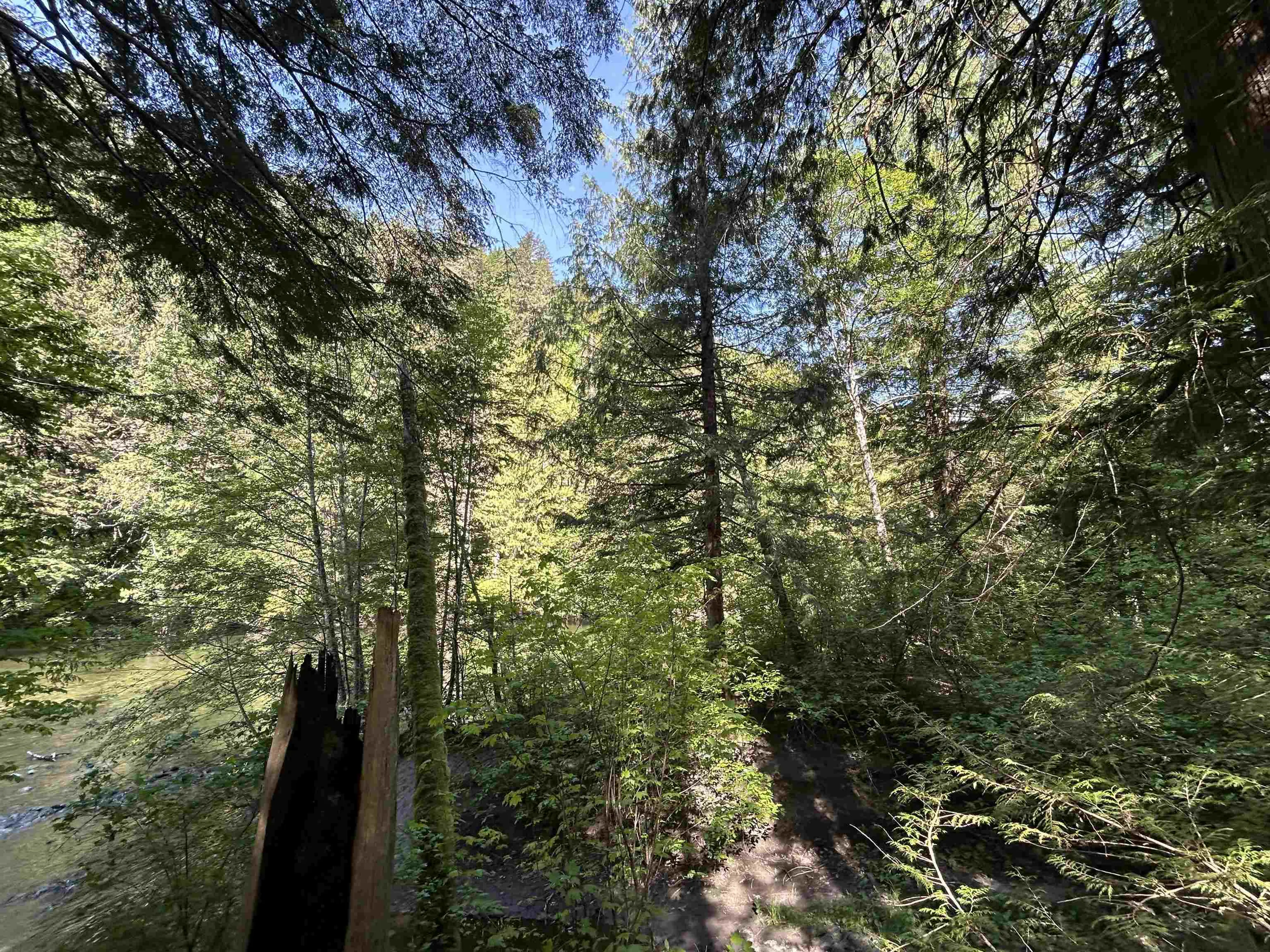 Property at 9063 PARADISE VALLEY ROAD, Squamish, BC