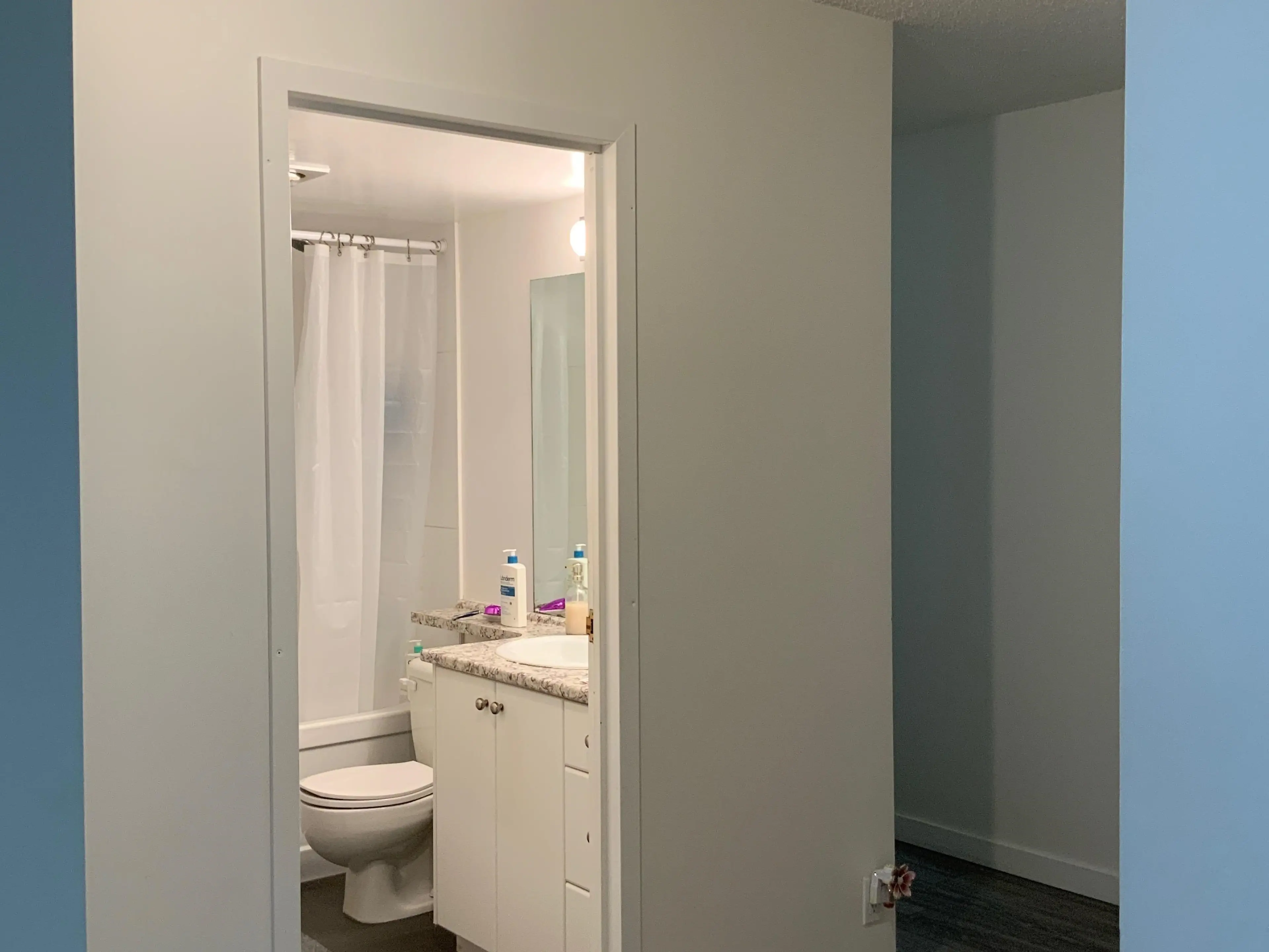 Property at #206 3760 ALBERT STREET, Burnaby, BC