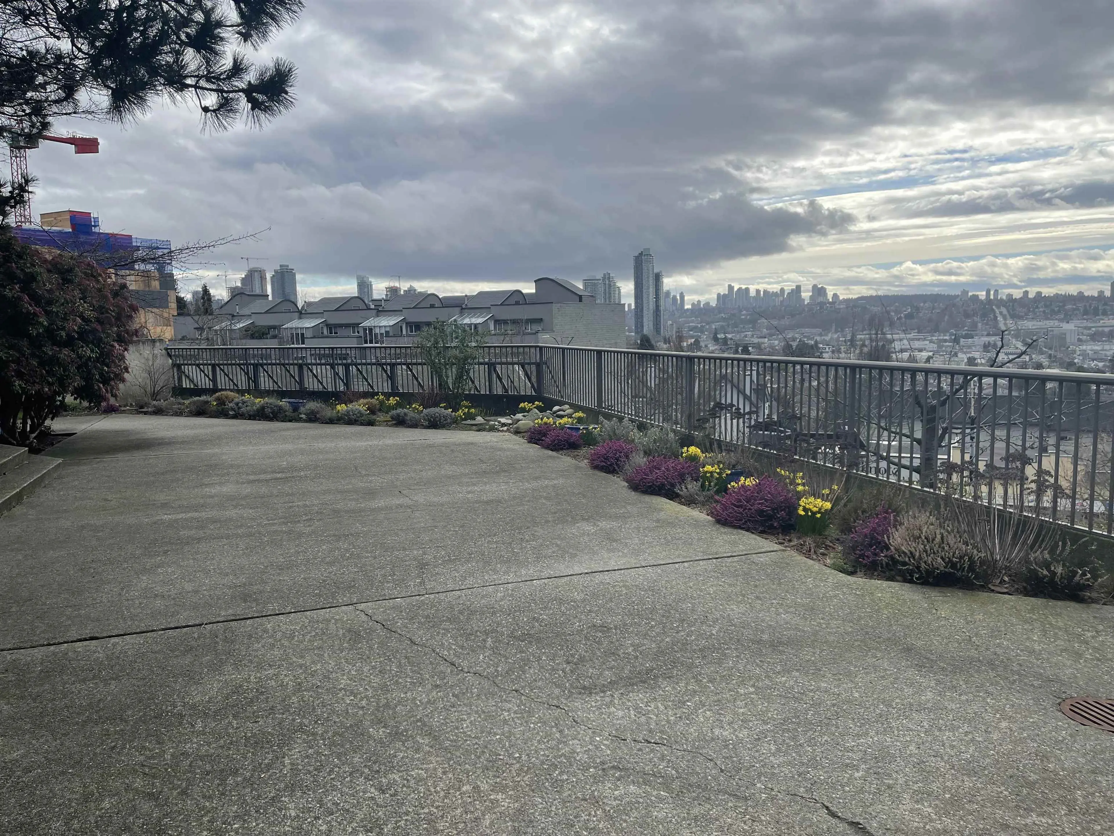 Property at #206 3760 ALBERT STREET, Burnaby, BC