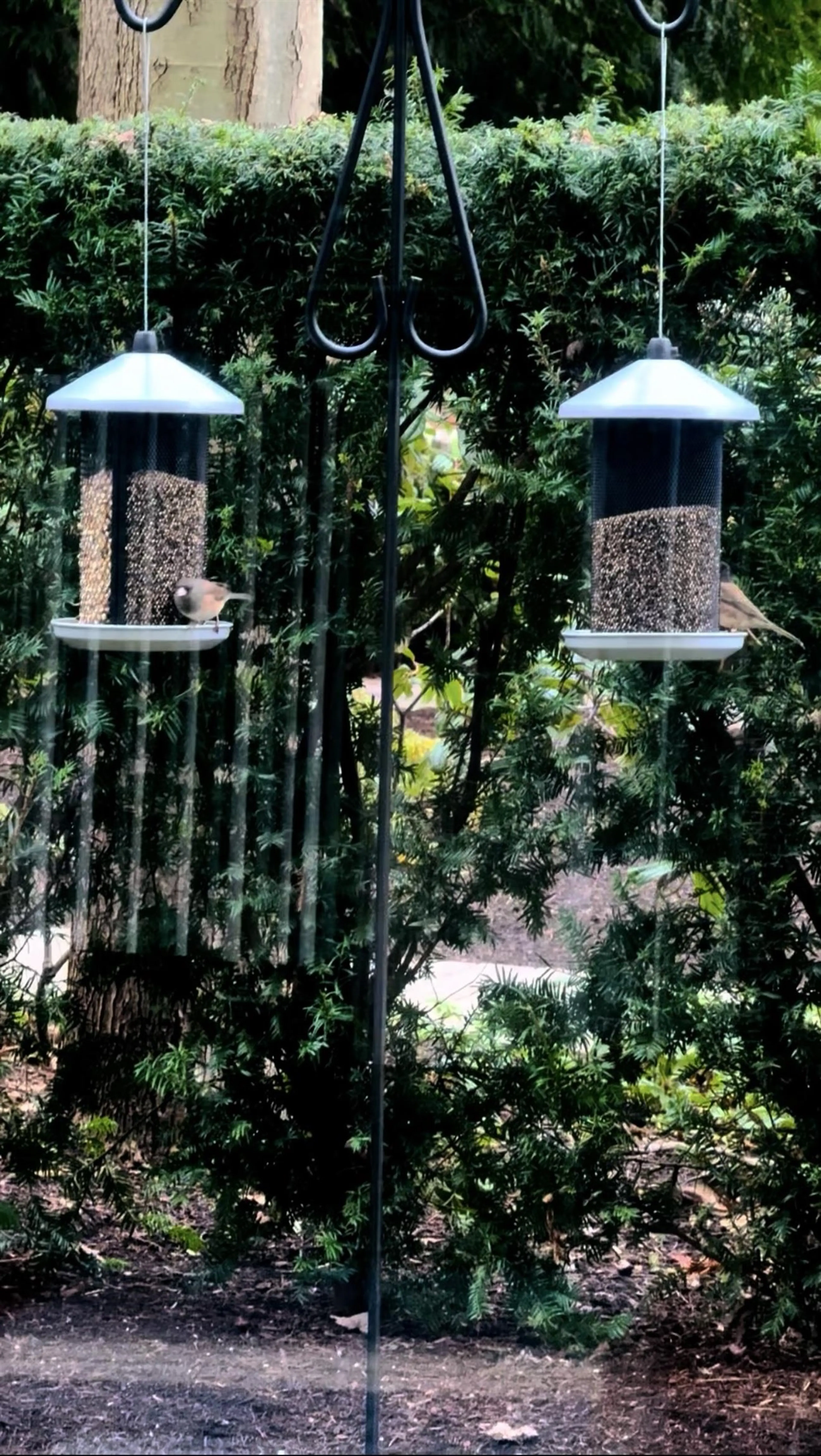 Property at #110 5728 BERTON AVENUE, Vancouver, BC