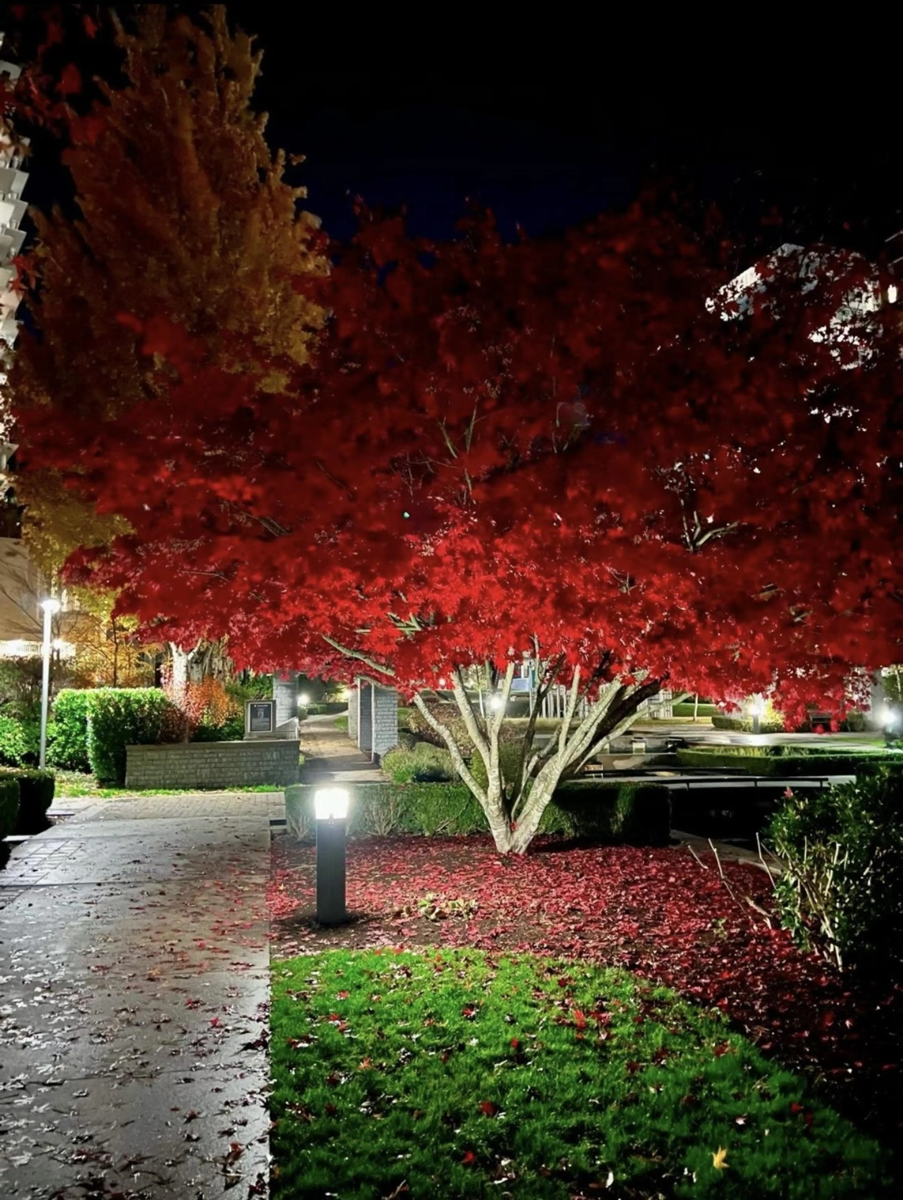 Property at #110 5728 BERTON AVENUE, Vancouver, BC