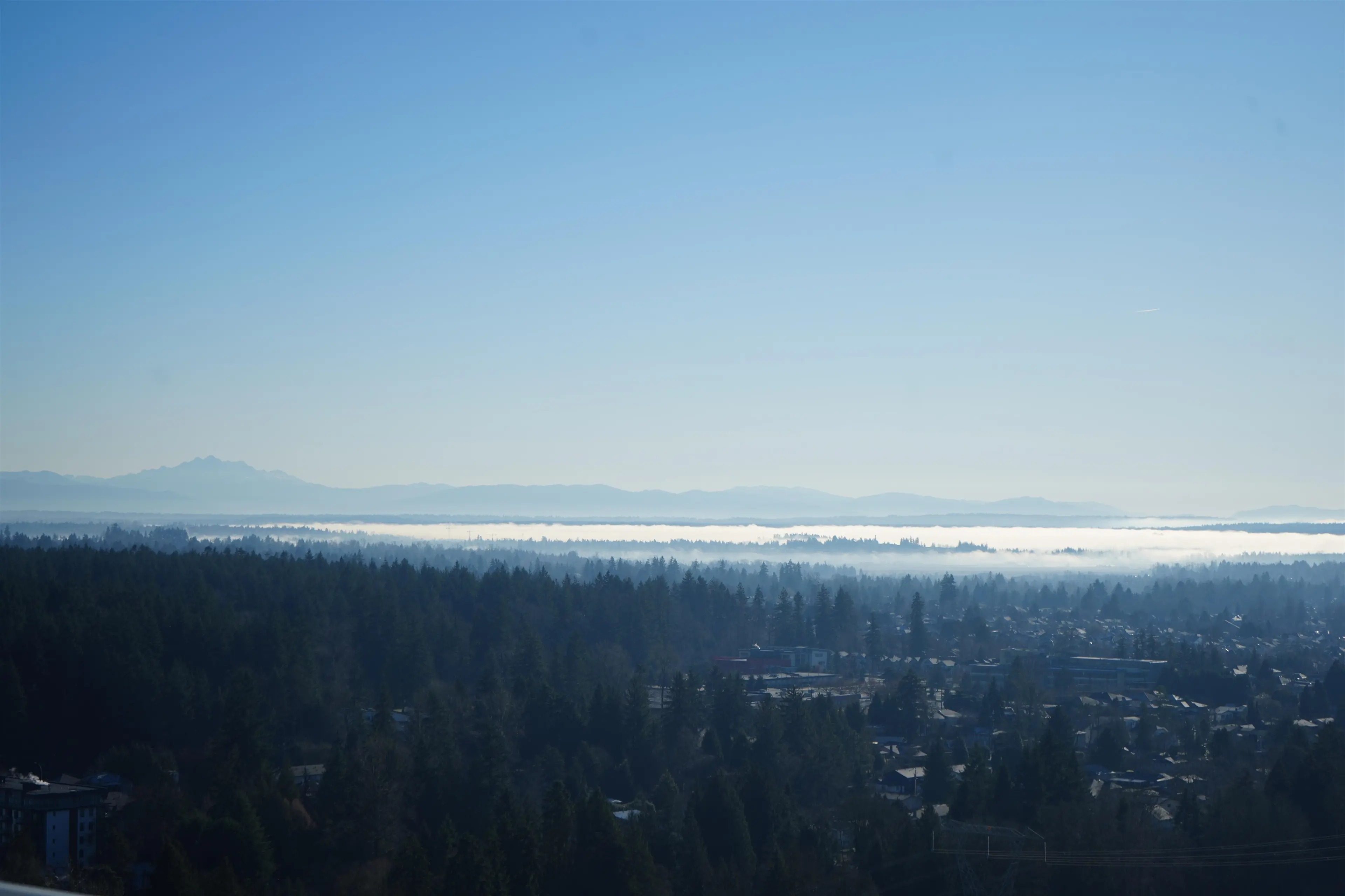 Property at #2710 13655 FRASER HIGHWAY, Surrey, BC