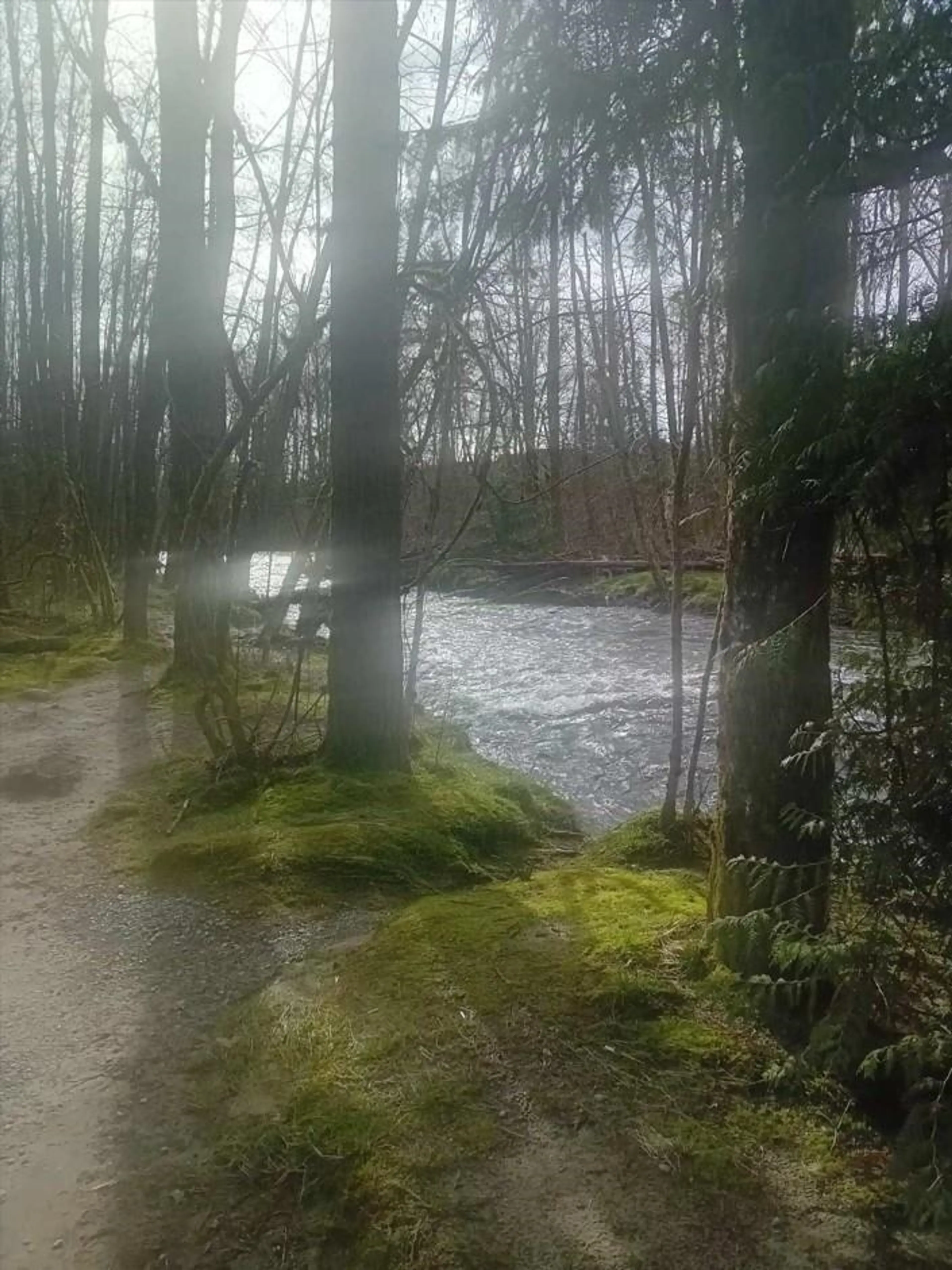 Property at #1 3171 FLINT STREET, Port Coquitlam, BC