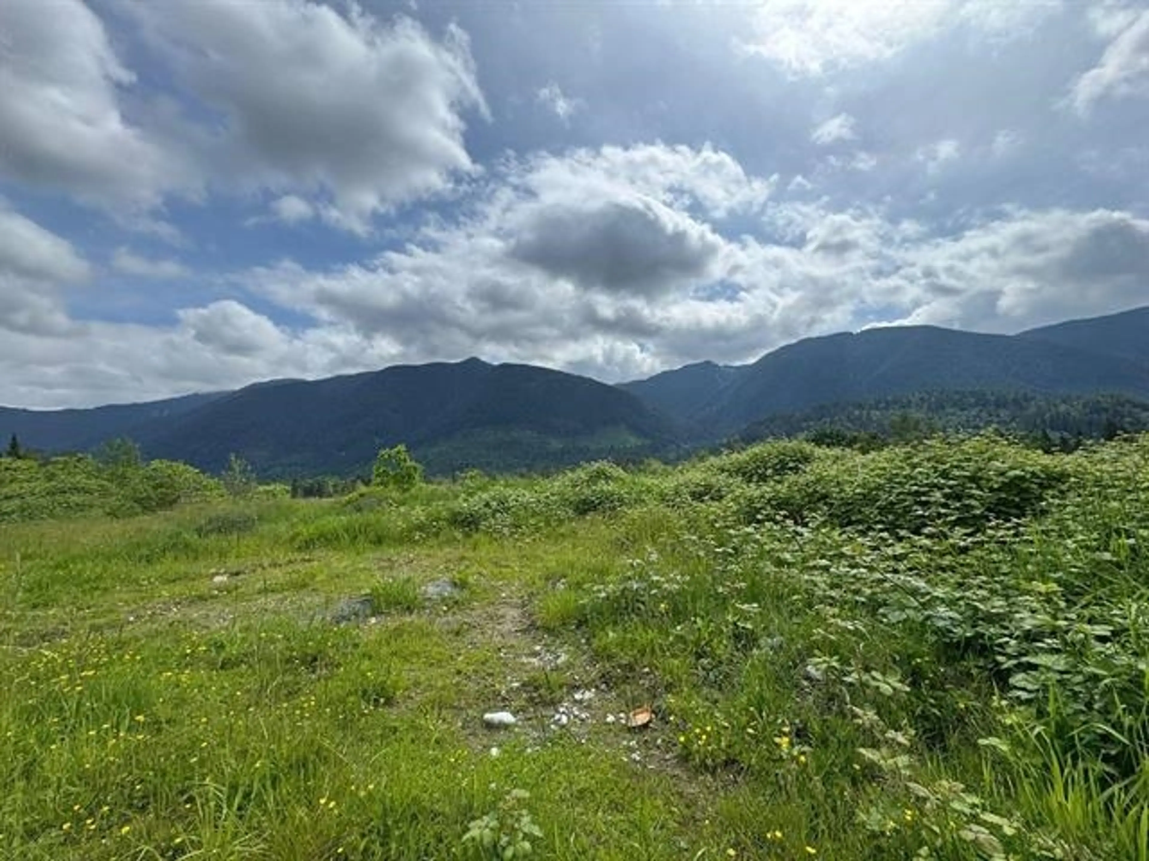 Property at 12408 SEUX ROAD, Mission, BC