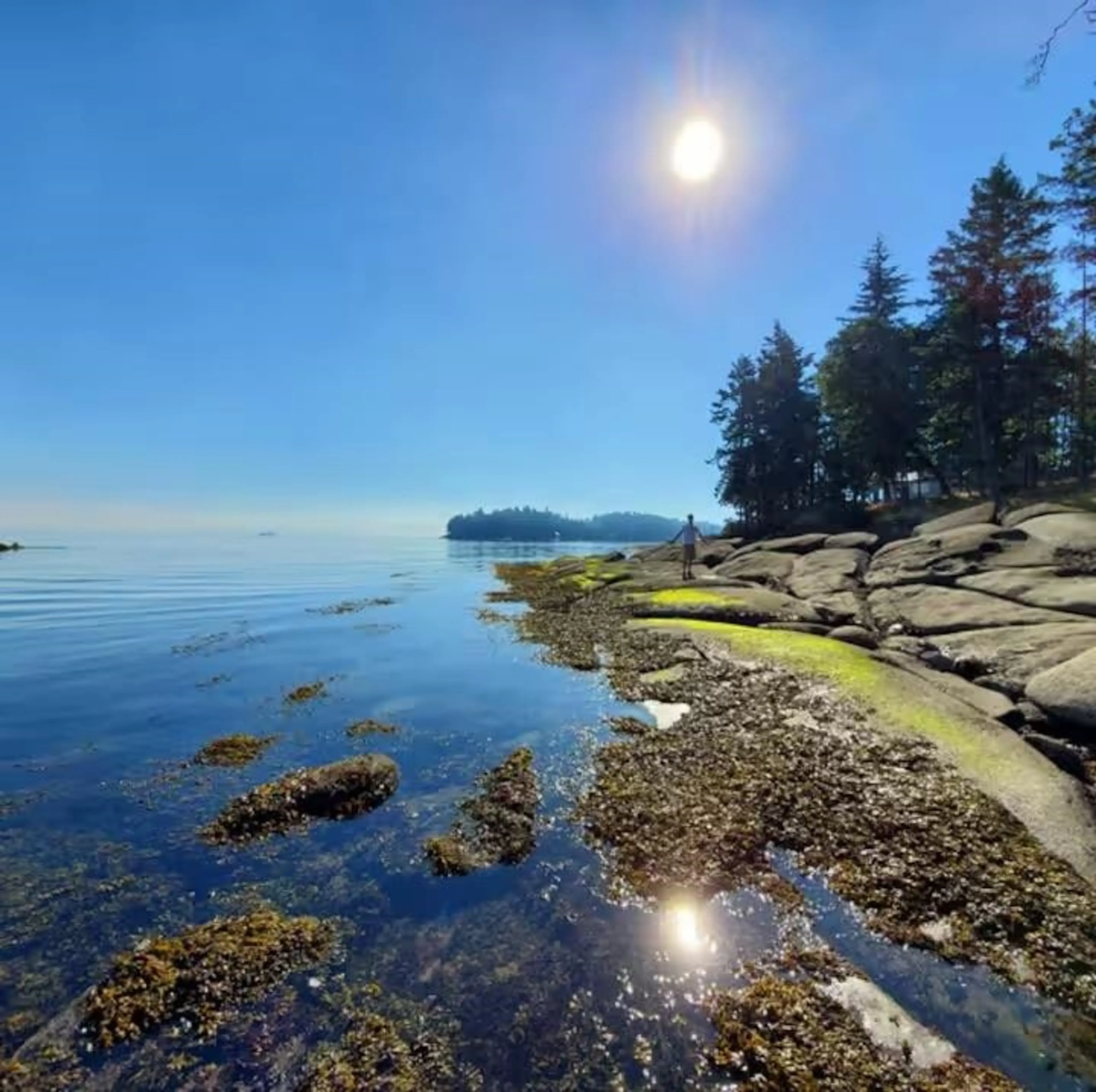 Property at #5- D1 134 MADRONA DRIVE, Galiano Island, BC