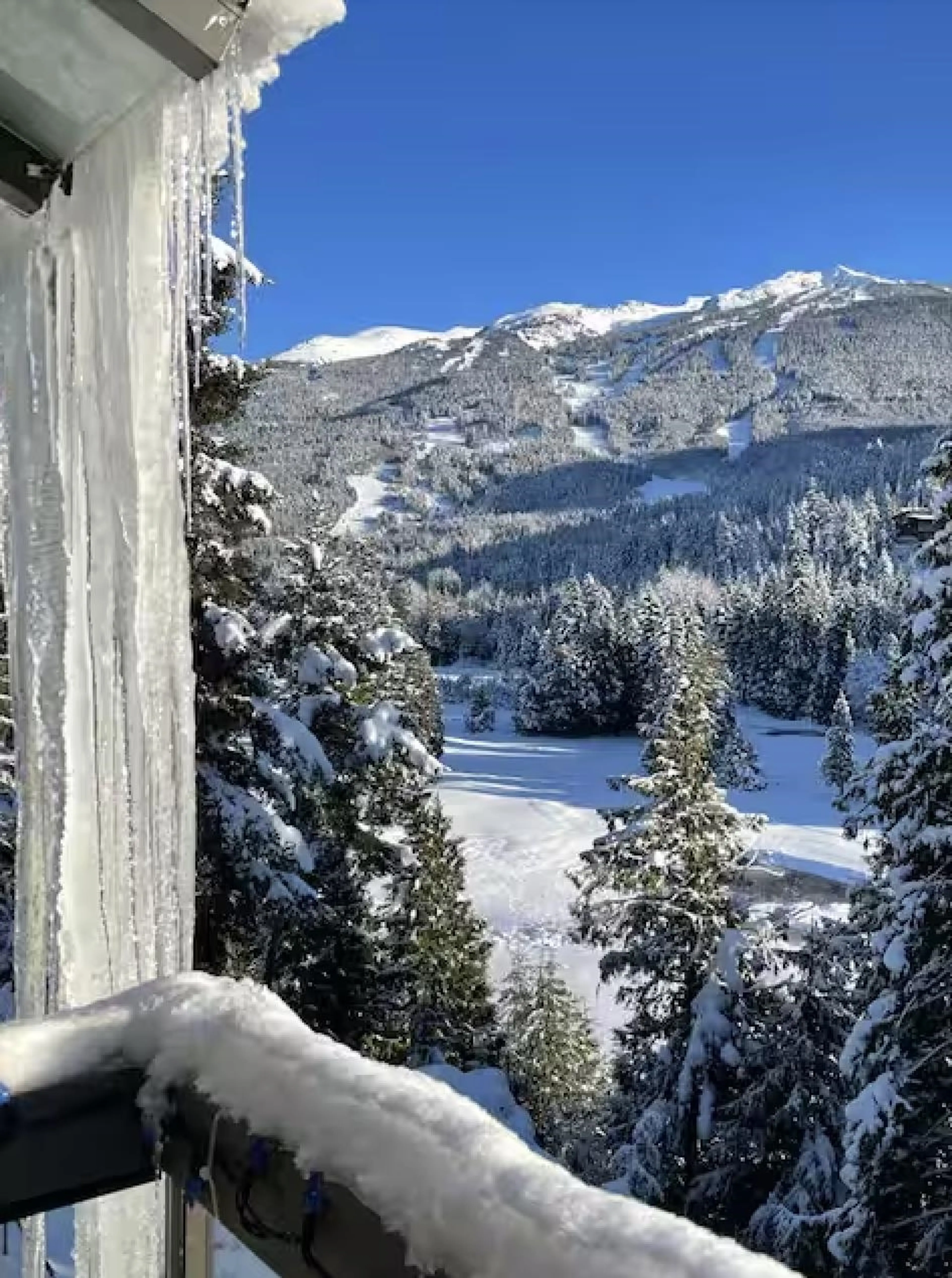 Property at #325 3309 PTARMIGAN PLACE, Whistler, BC