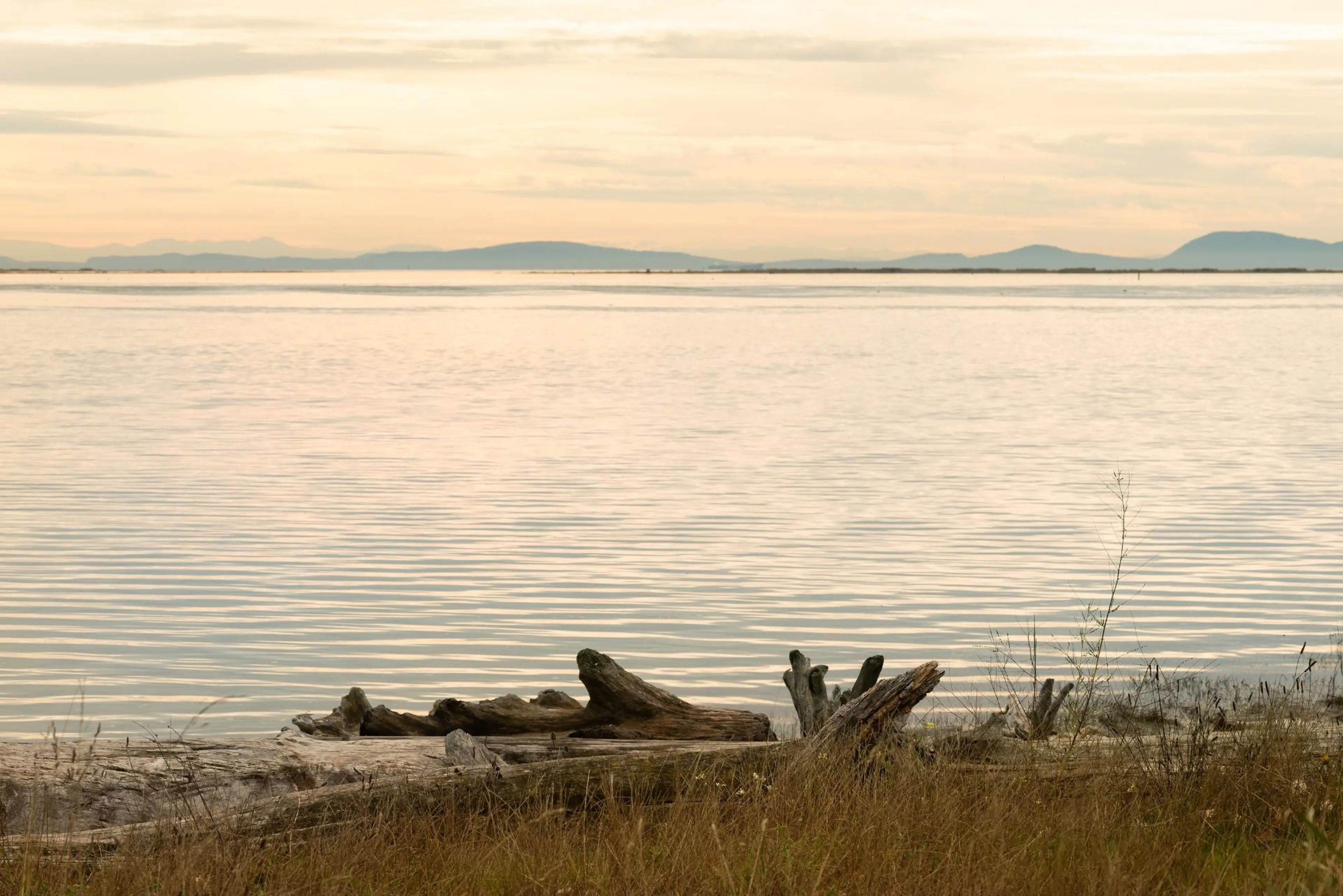 Property at #6 3888 MORESBY DRIVE, Richmond, BC