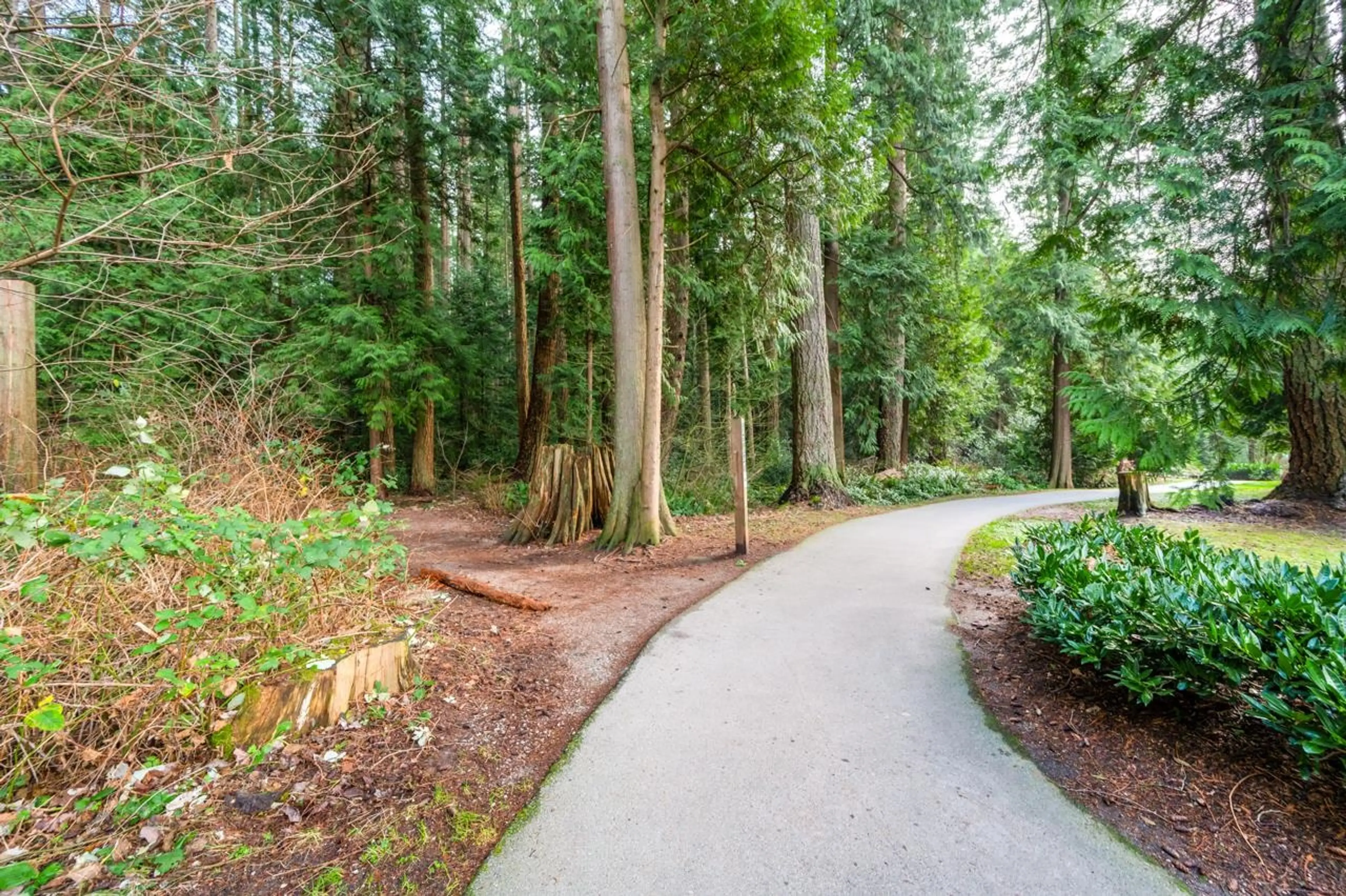 Property at #308 5628 BIRNEY AVENUE, Vancouver, BC