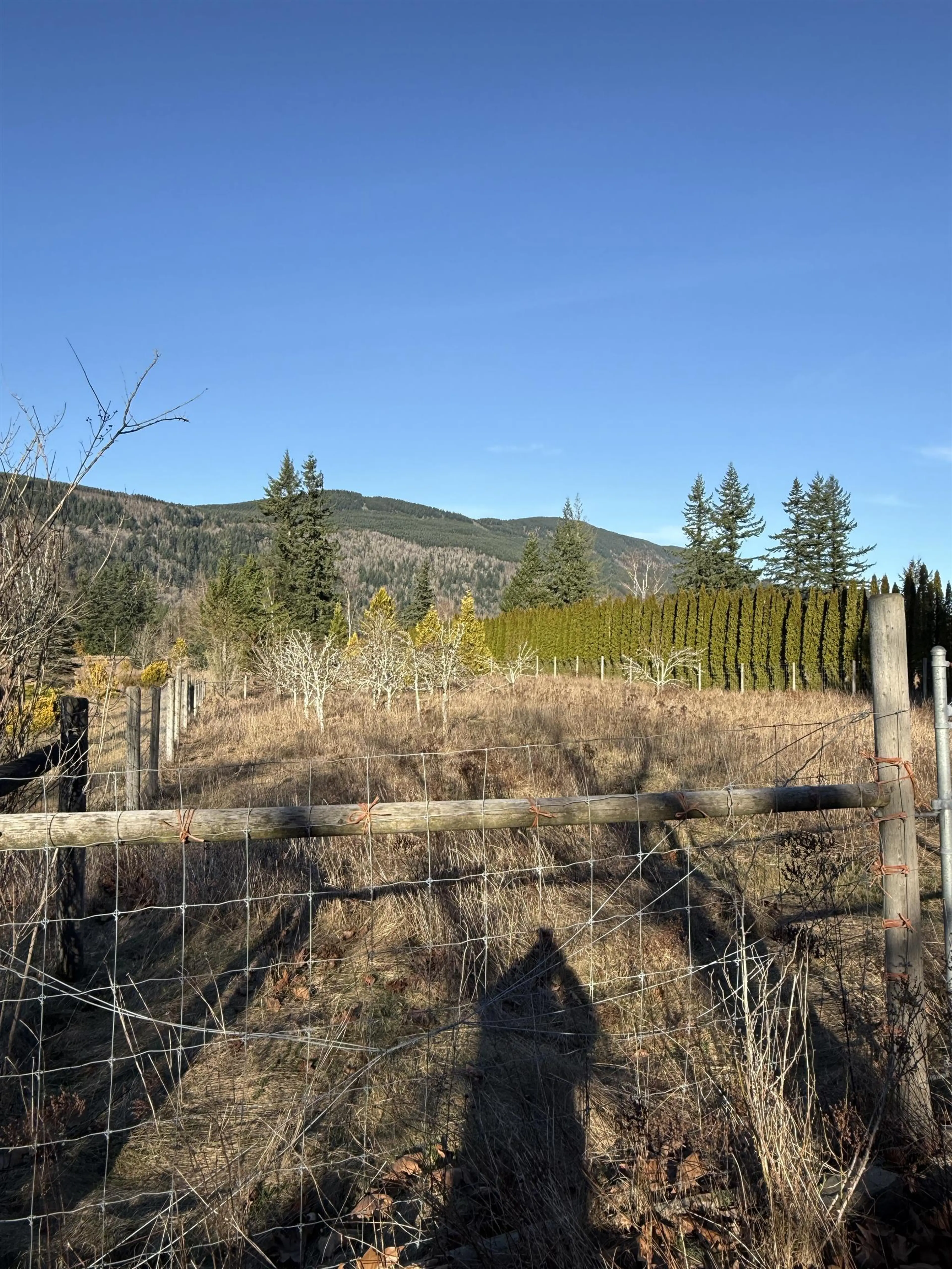 Property at 290 COLTER ROAD, Columbia Valley, BC