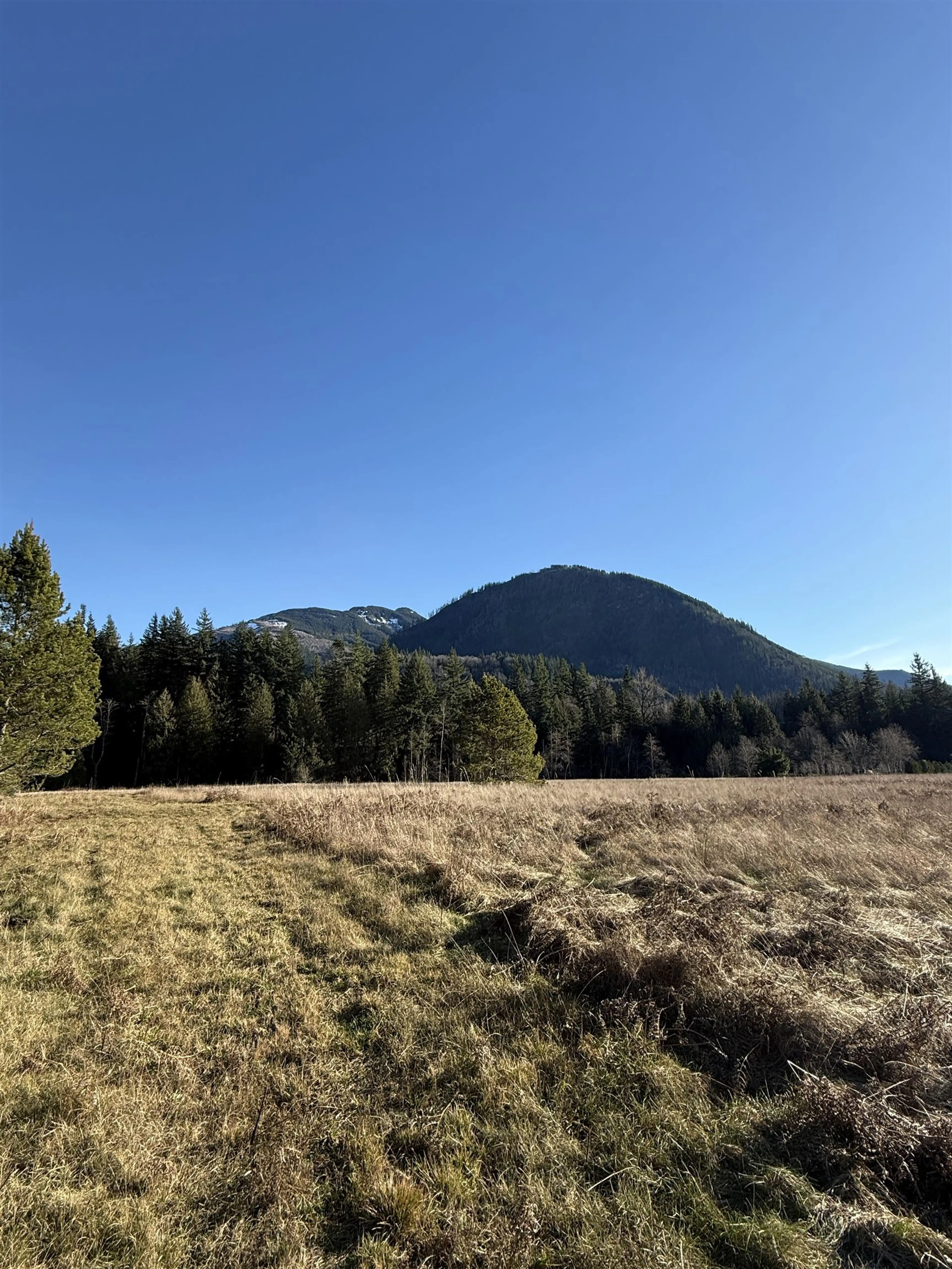 Property at 290 COLTER ROAD, Columbia Valley, BC