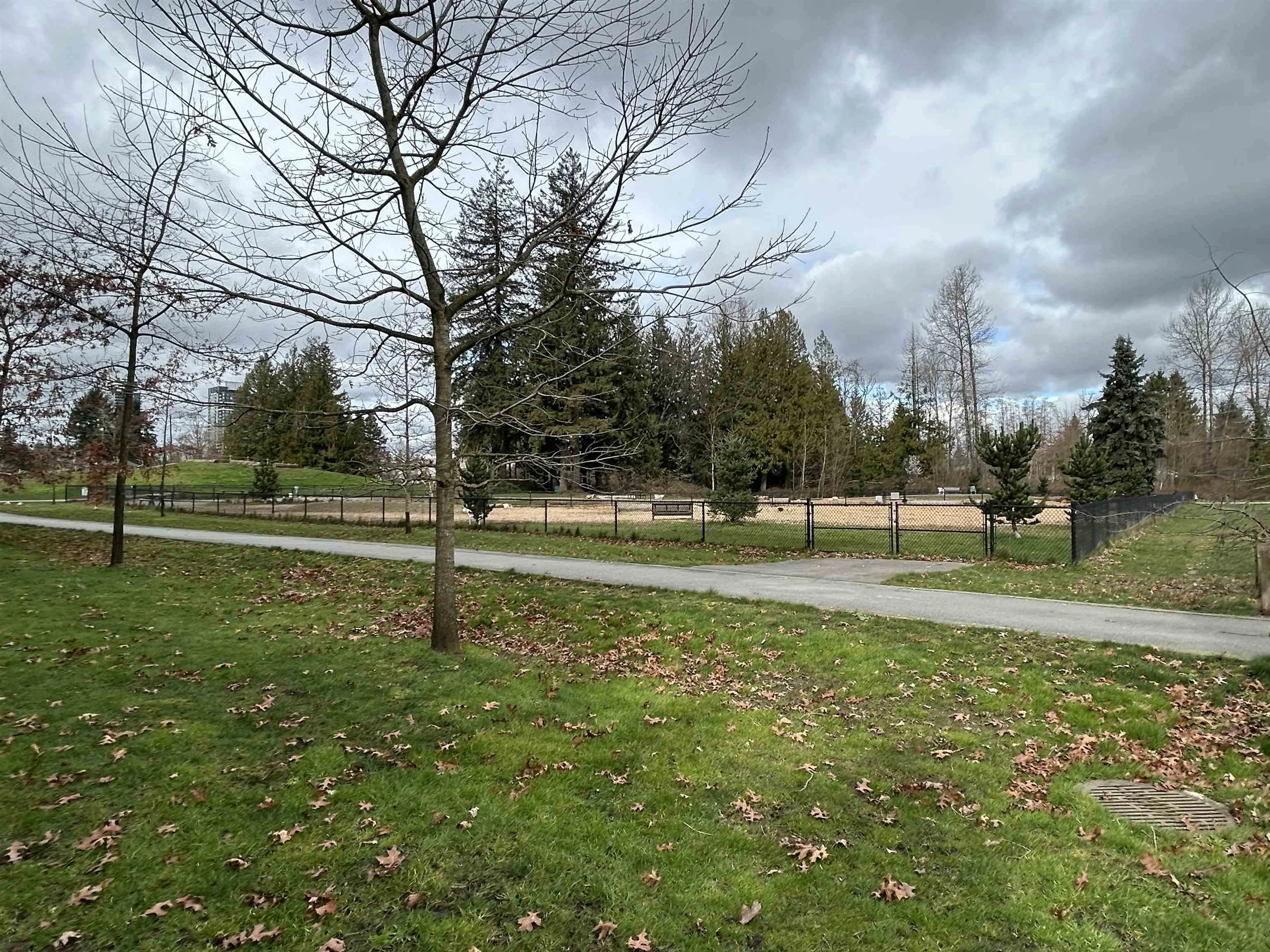 Property at #512 10603 140 STREET, Surrey, BC