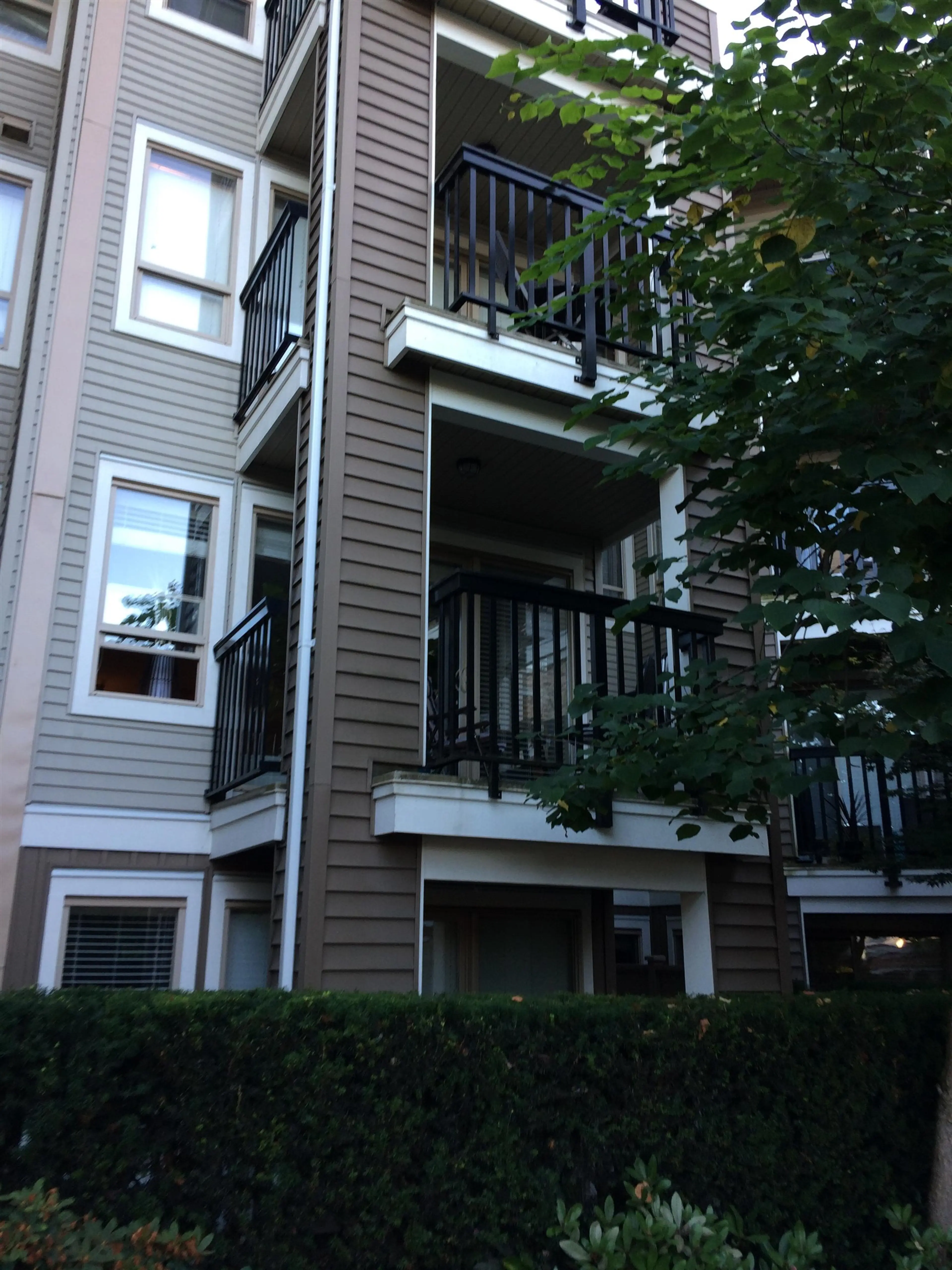 Property at #203 8915 202 STREET, Langley, BC