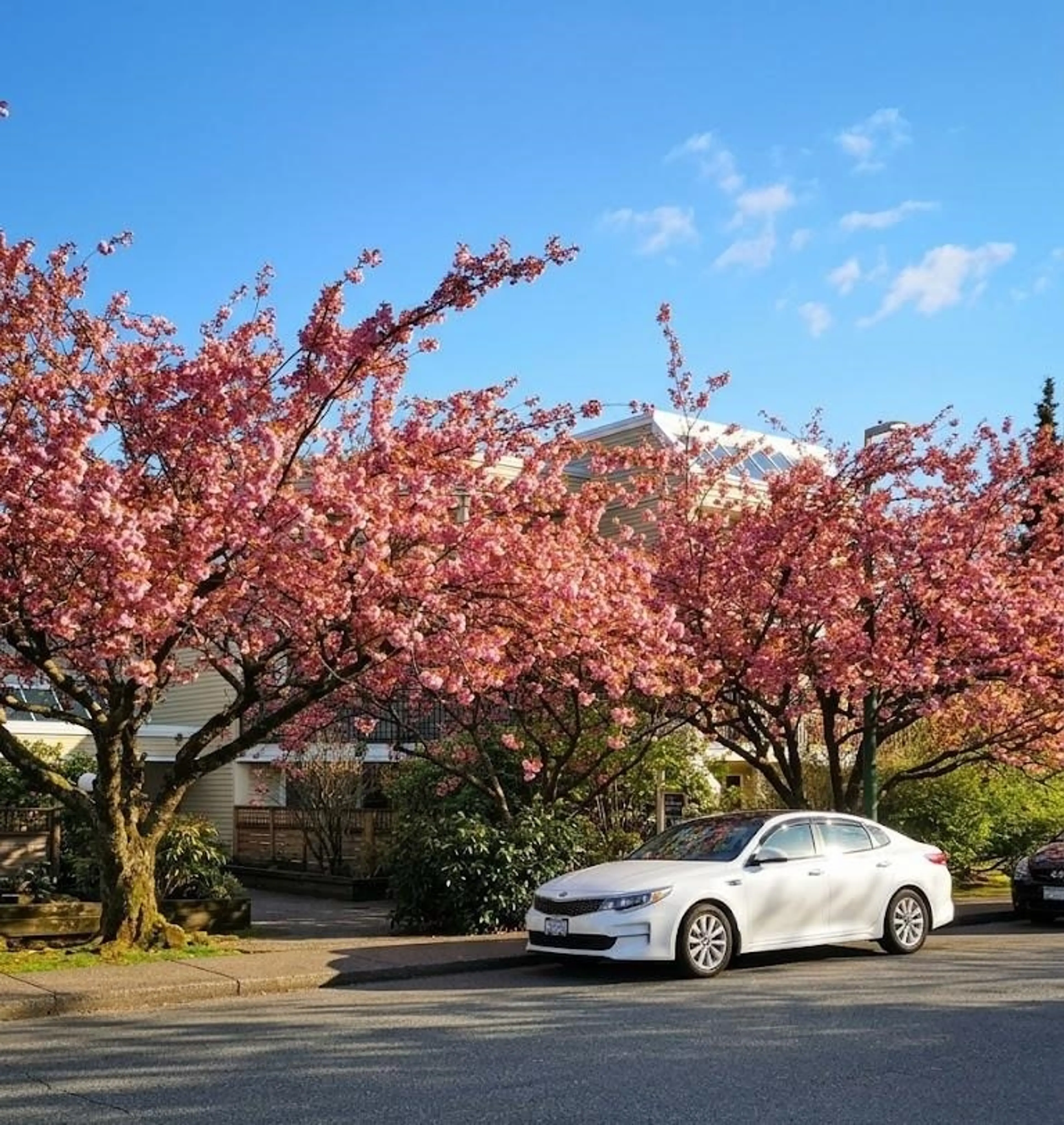 Property at #209 1050 HOWIE AVENUE, Coquitlam, BC