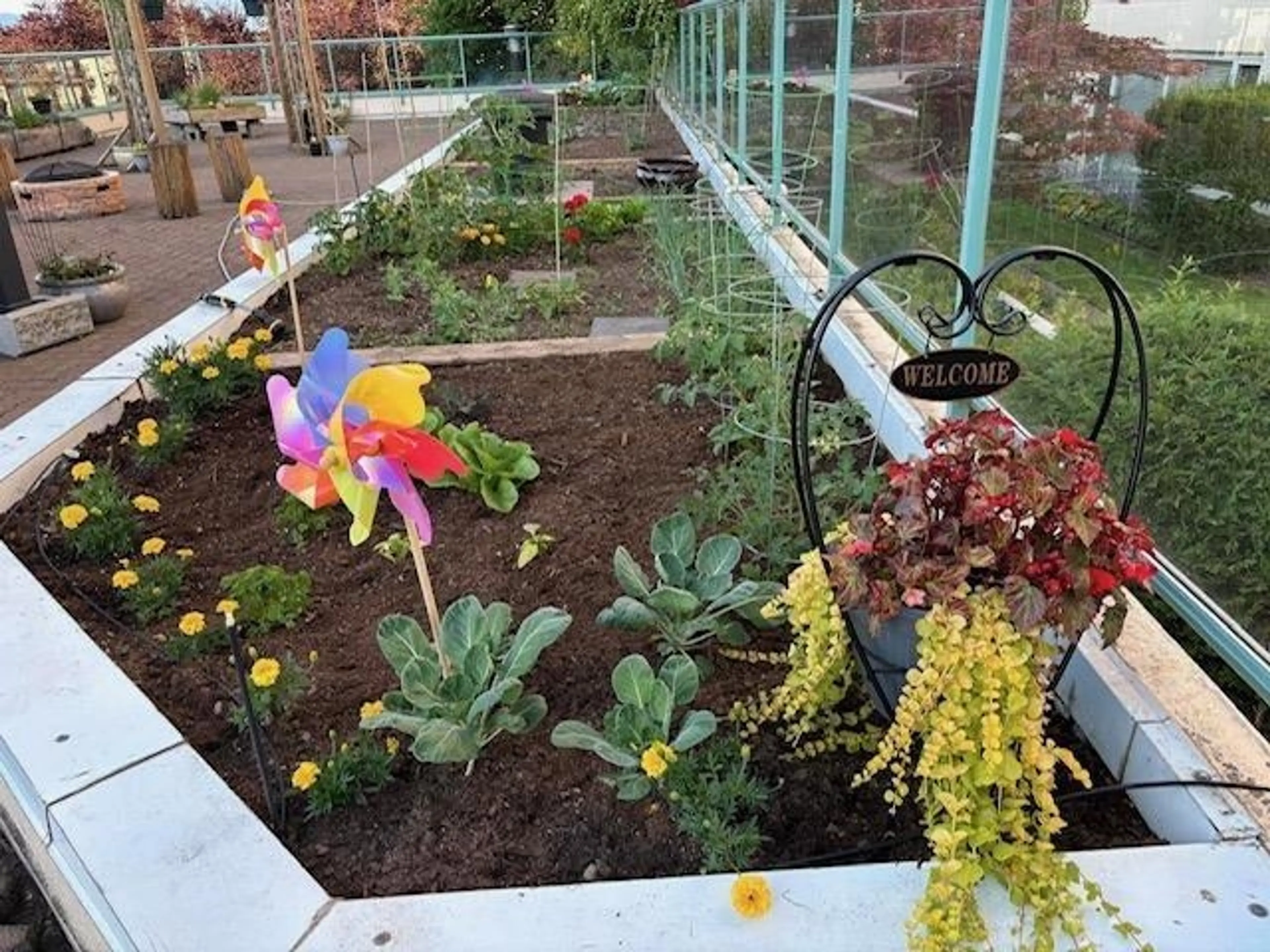 Property at #301 3190 GLADWIN ROAD, Abbotsford, BC