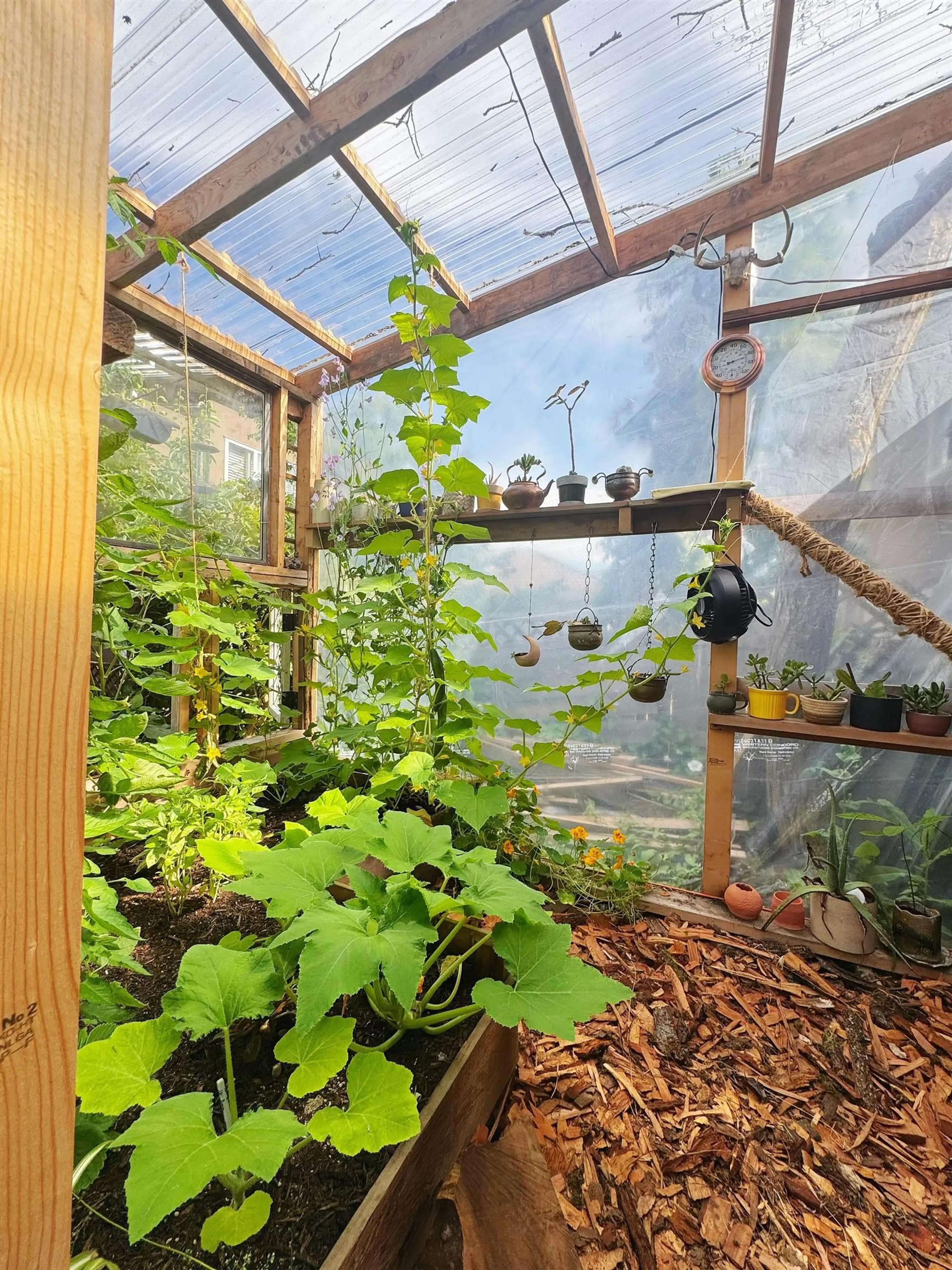 Property at 5569 CULLODEN STREET, Vancouver, BC