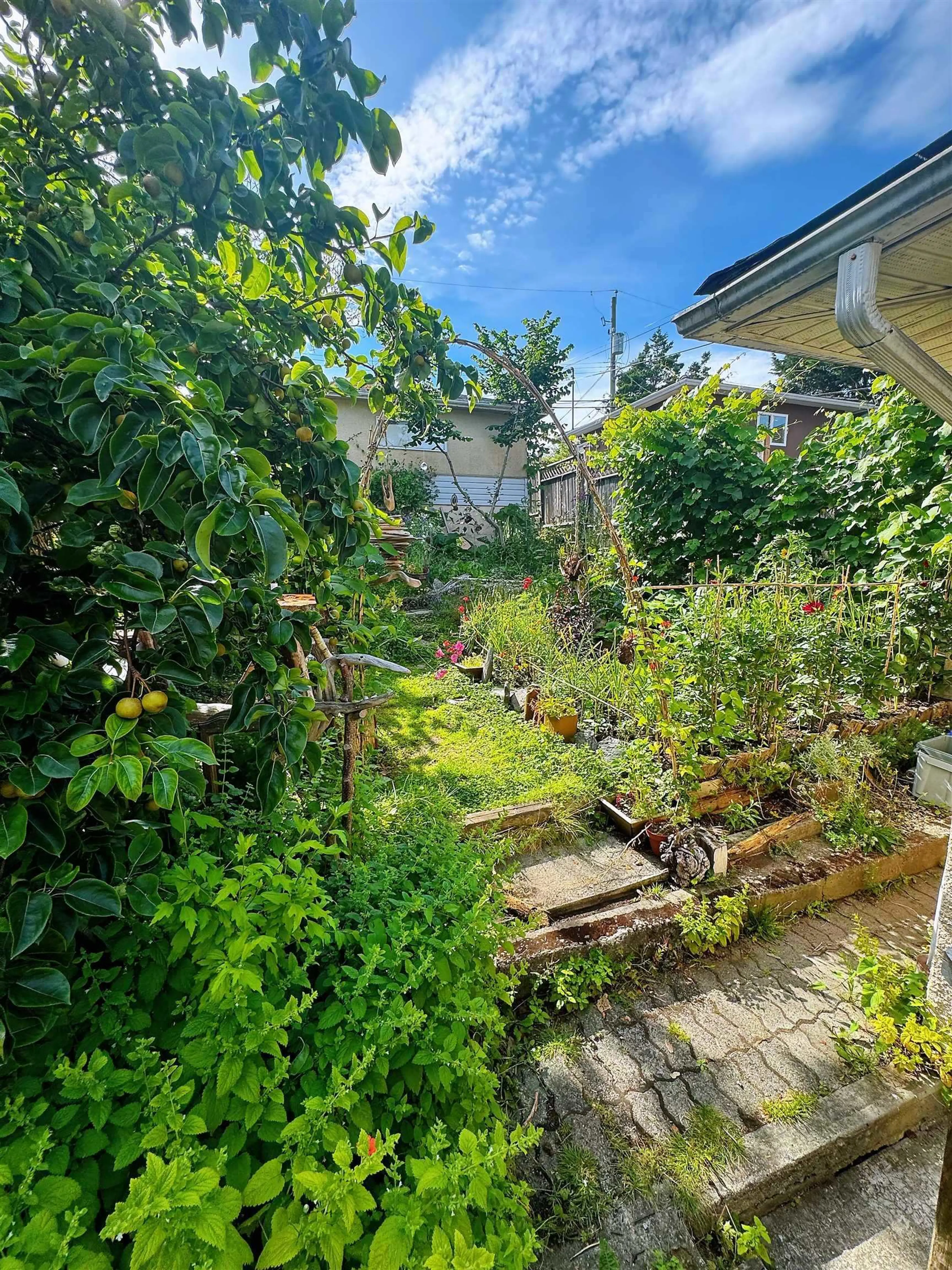 Property at 5569 CULLODEN STREET, Vancouver, BC