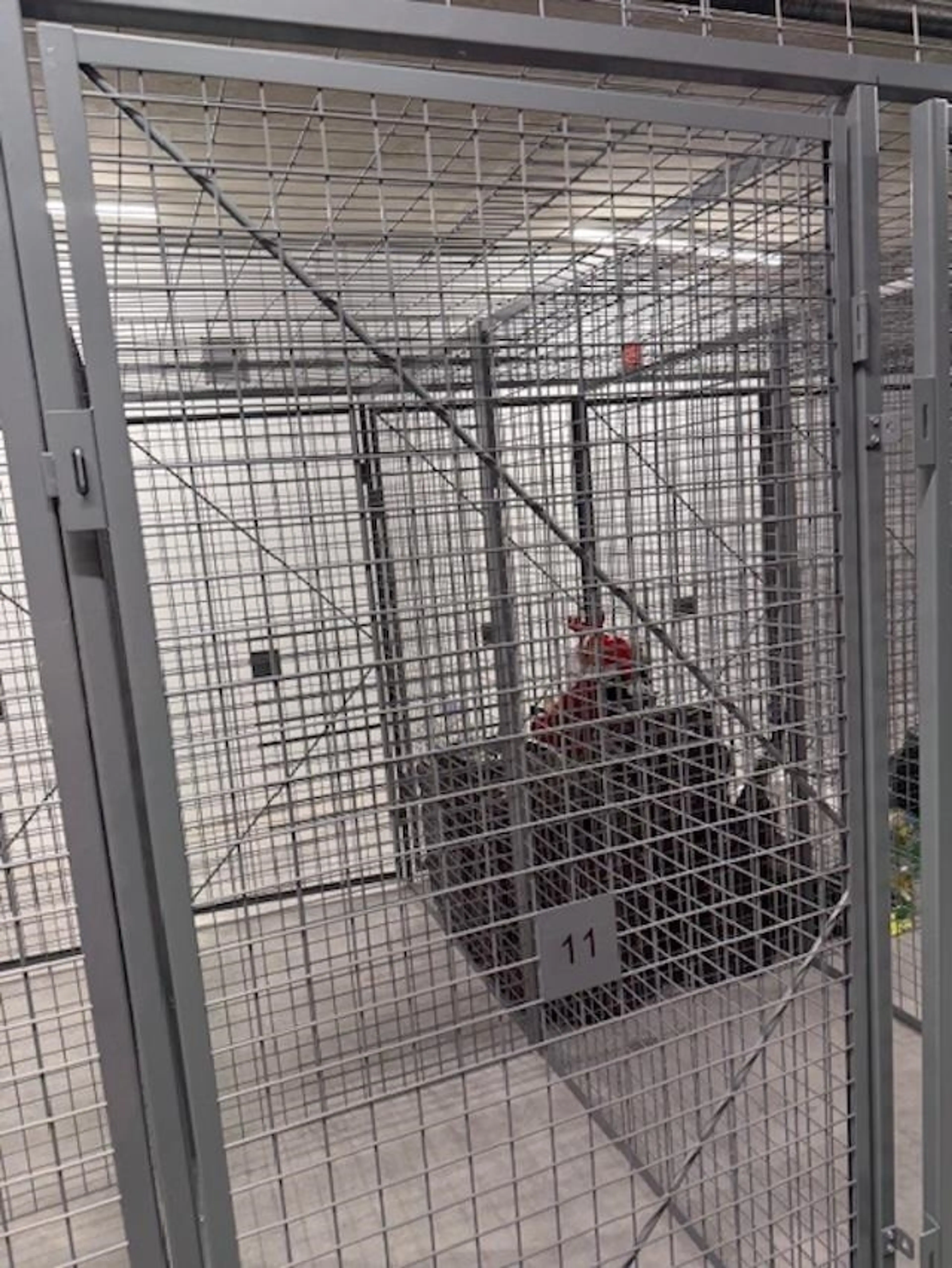 Property at #606 7936 206TH STREET, Langley, BC