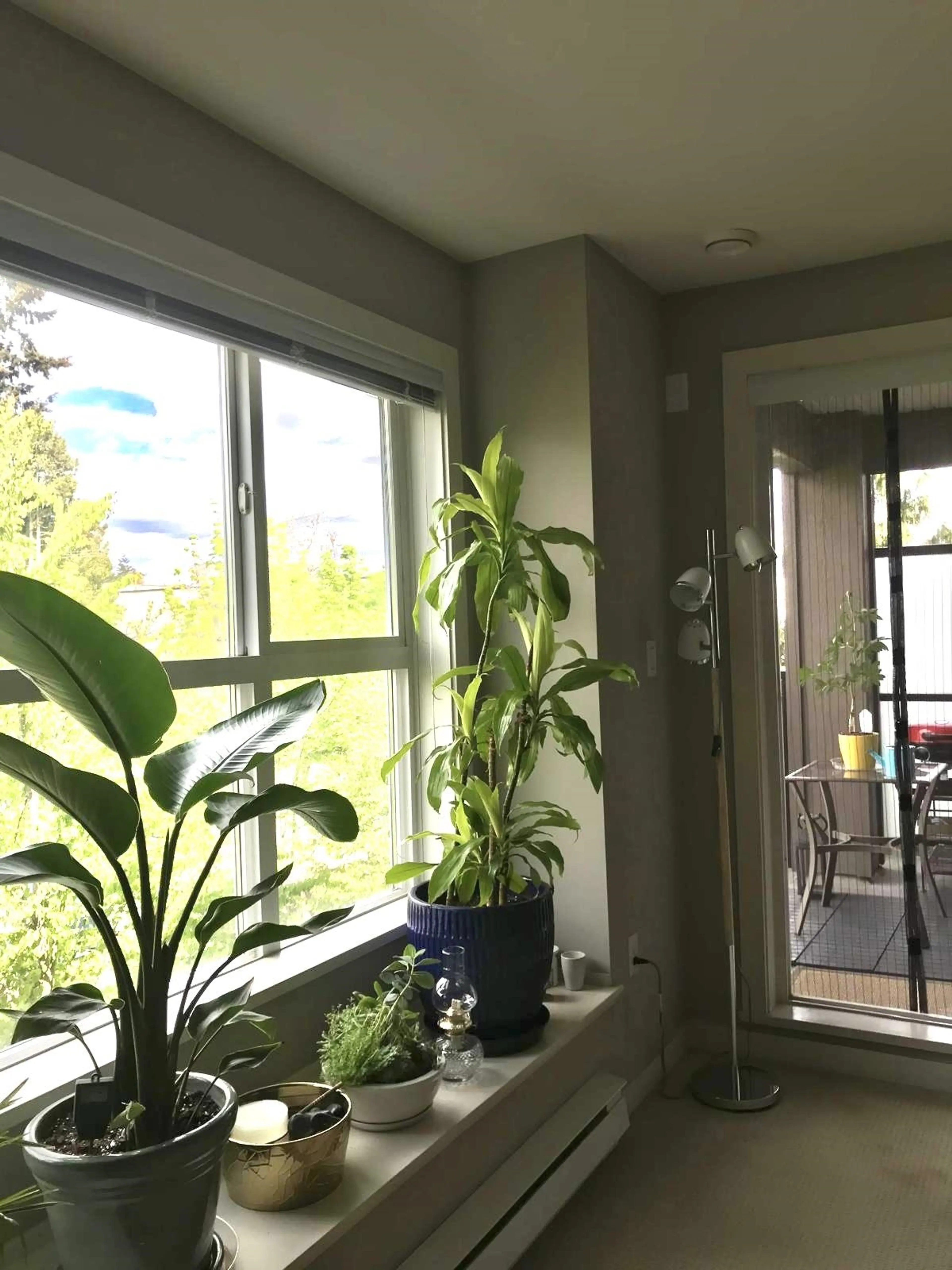 Property at #314 5889 IRMIN STREET, Burnaby, BC