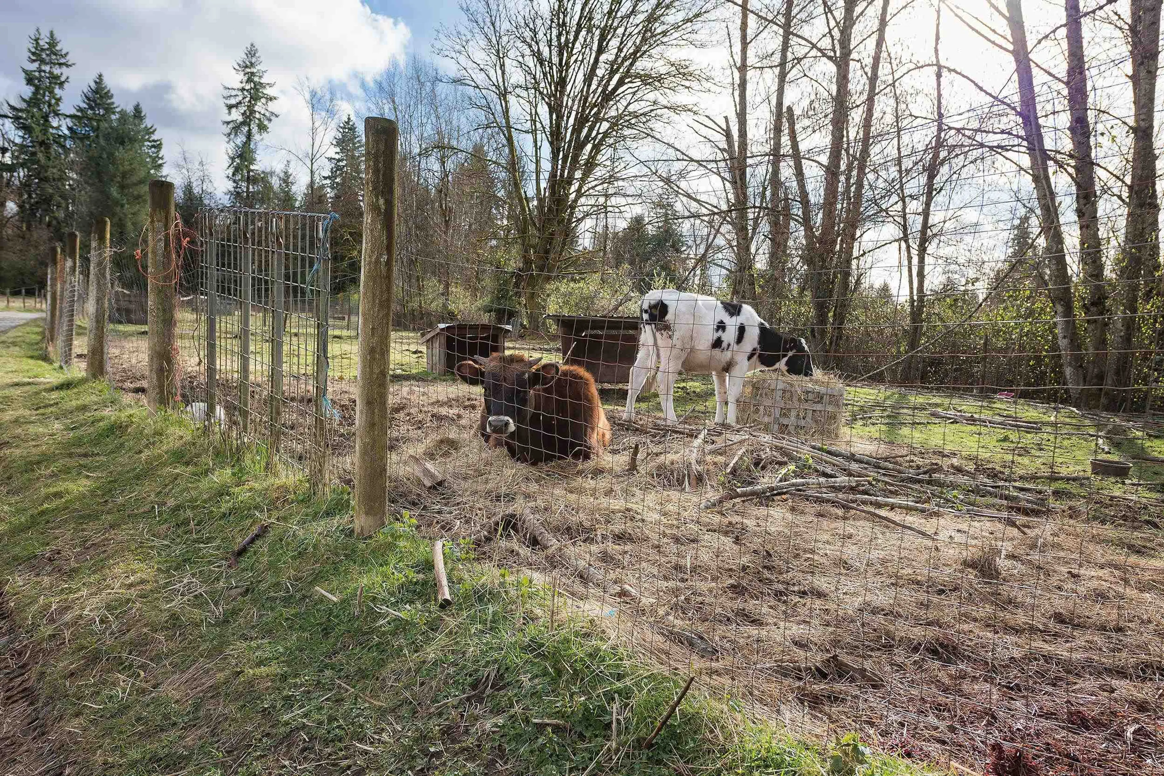 Property at 19607 80 AVENUE, Langley, BC