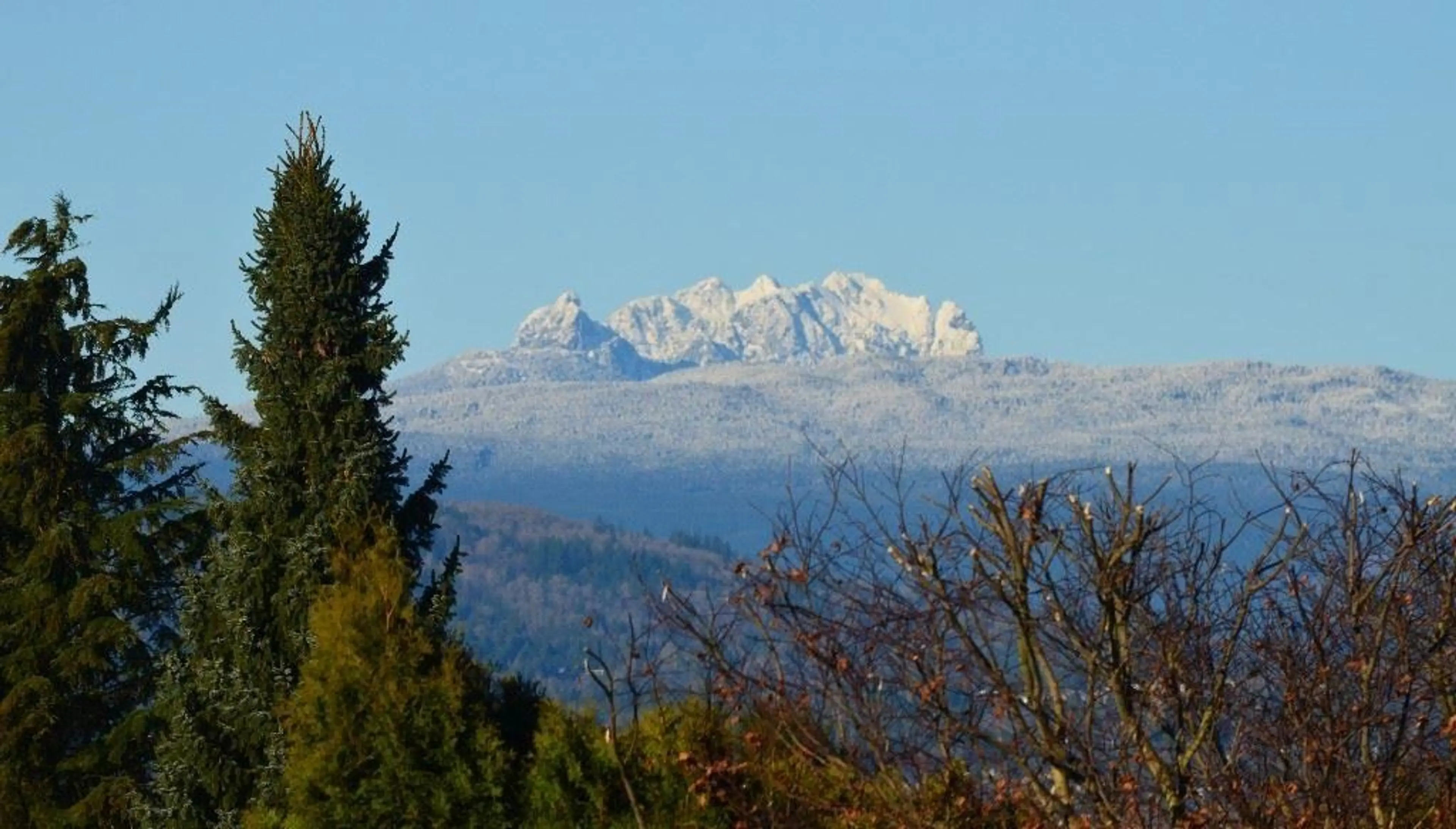 Property at 3597 CREEKSTONE DRIVE, Abbotsford, BC