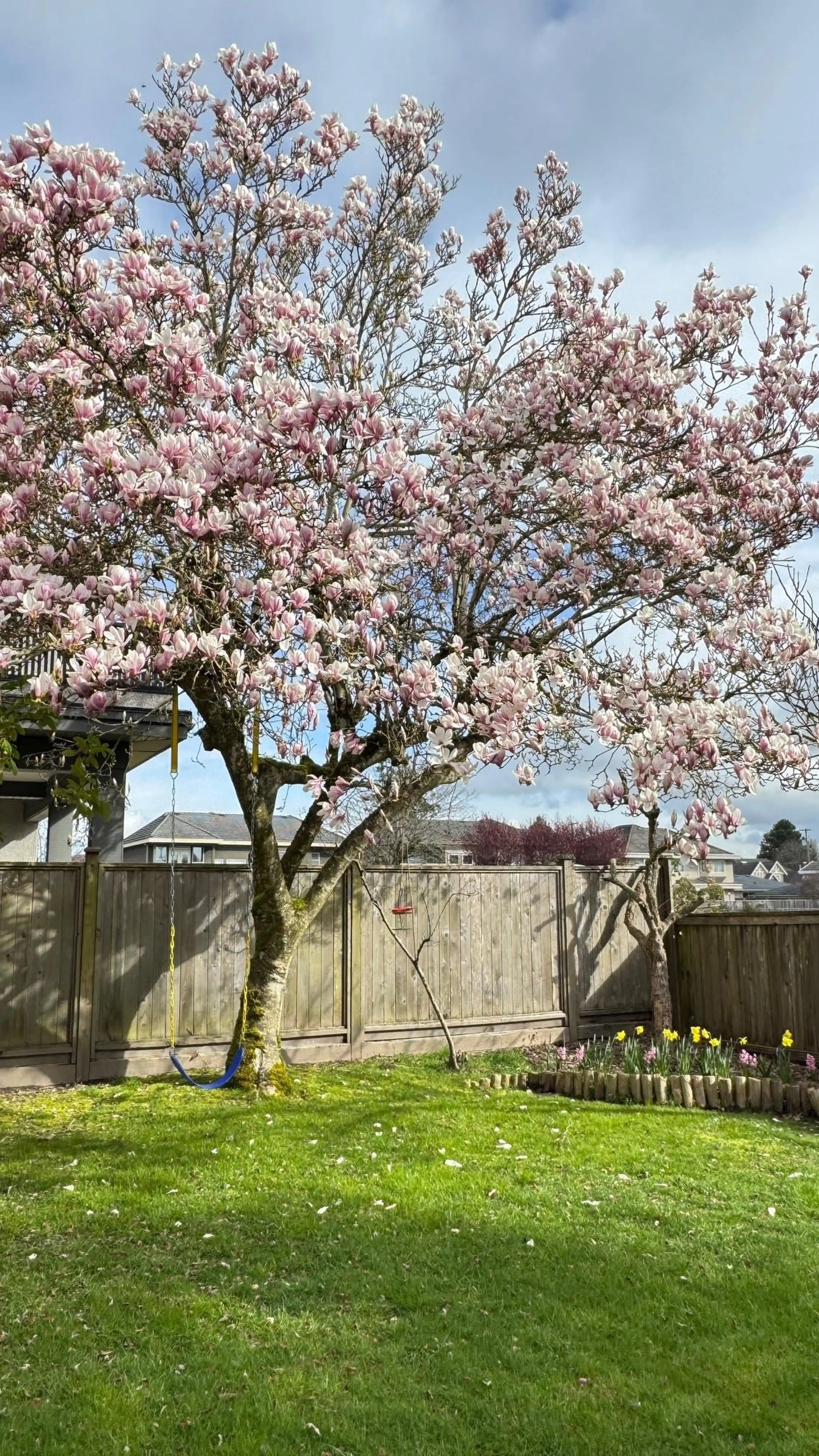 Property at 7540 BARKERVILLE COURT, Richmond, BC