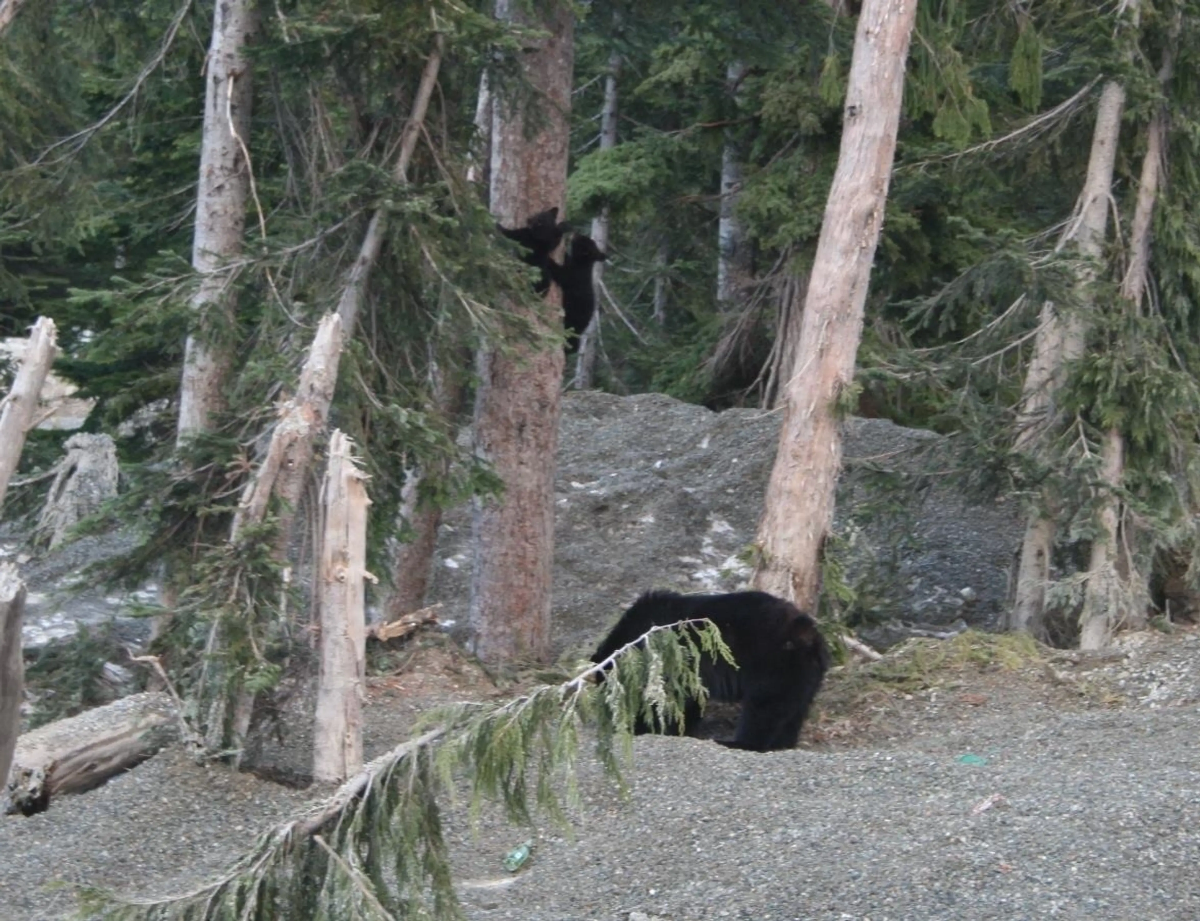 Property at #1 46891 SAWKI CREEK ROAD, Mission, BC