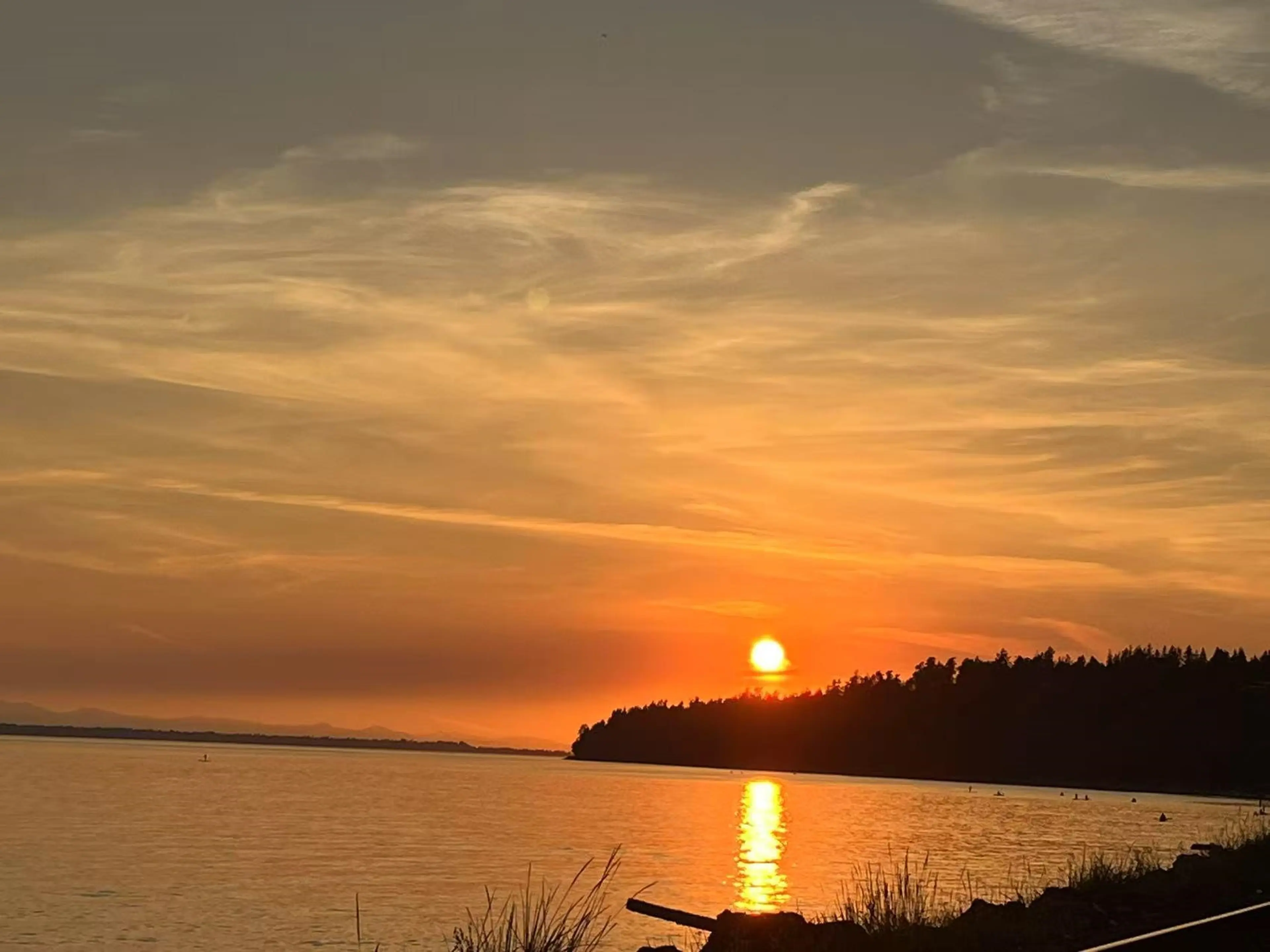 Property at 1309 ANDERSON STREET, White Rock, BC