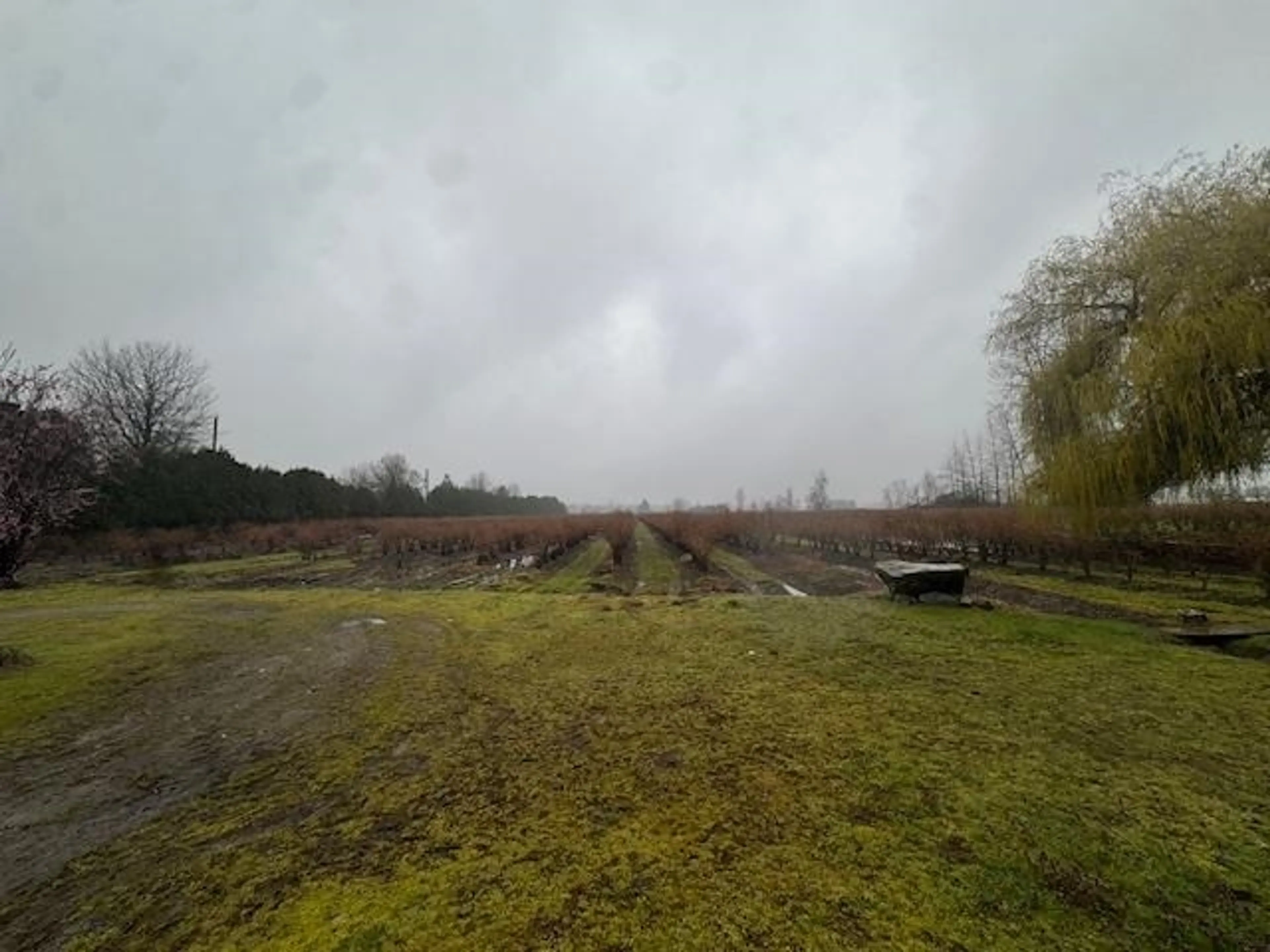 Property at 12853 HARRIS ROAD, Pitt Meadows, BC