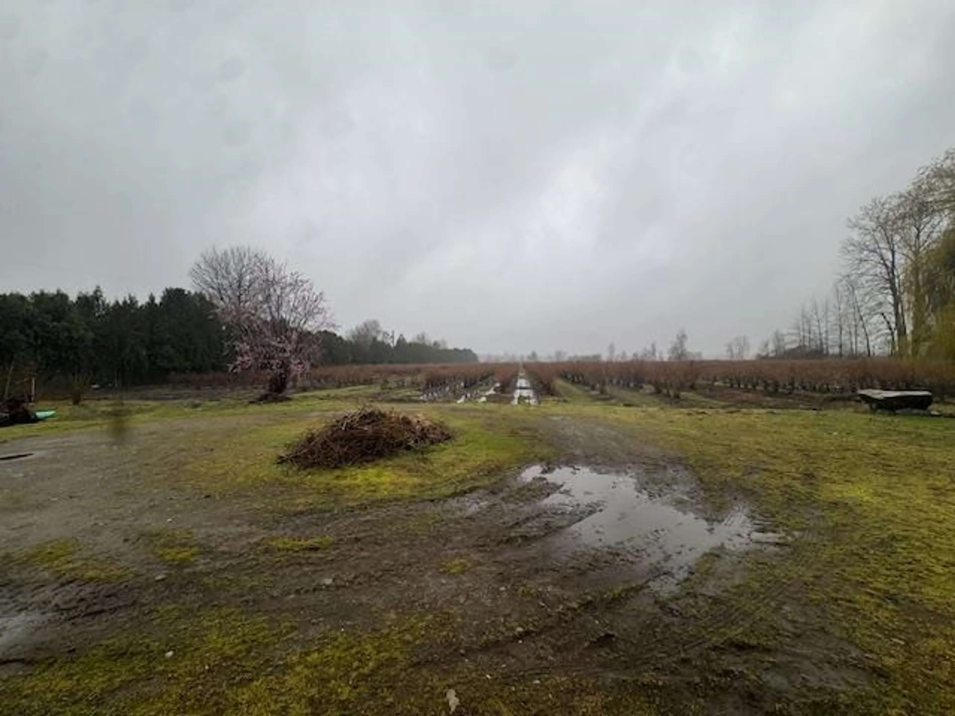 Property at 12853 HARRIS ROAD, Pitt Meadows, BC