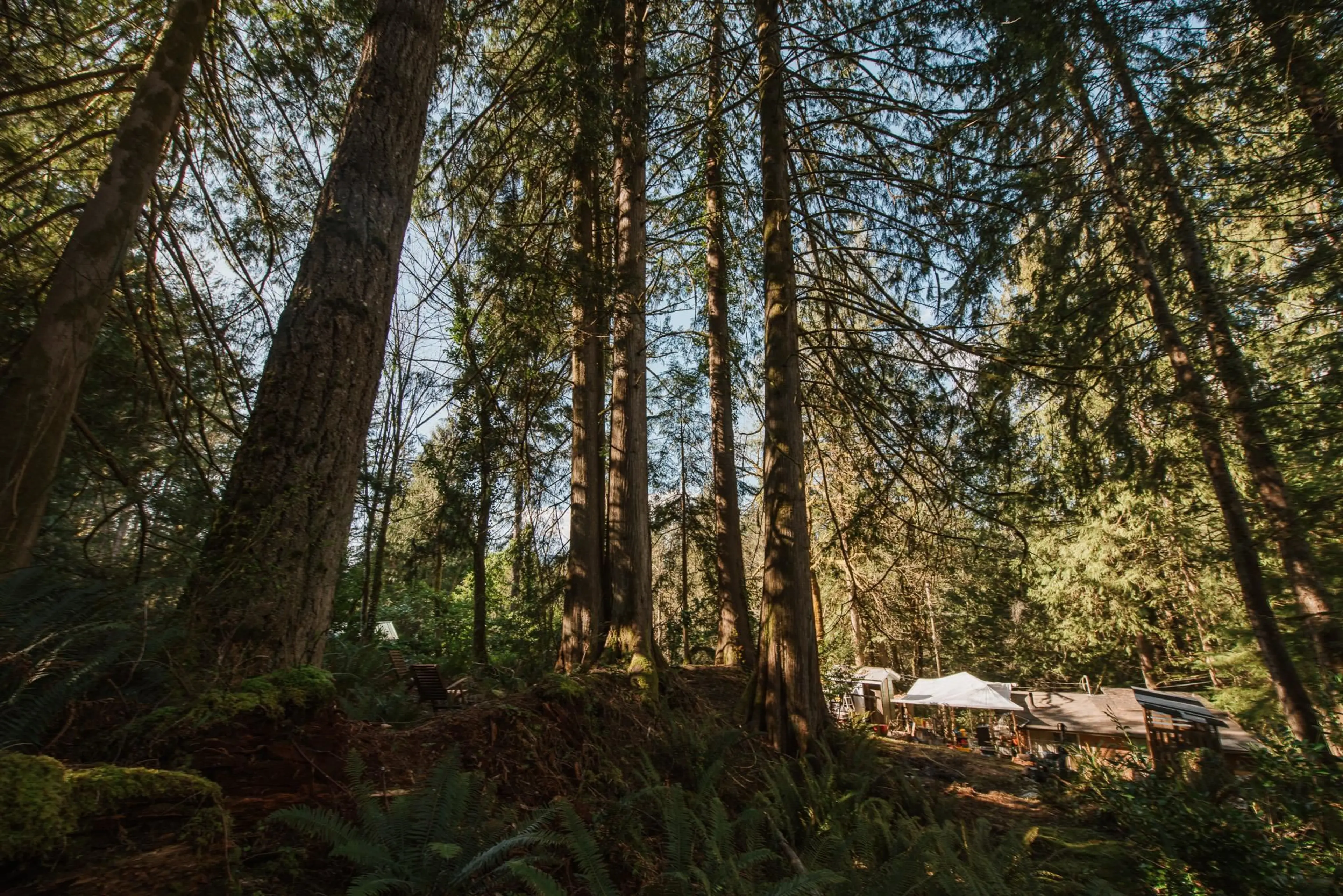 Property at 5735 NAYLOR ROAD, Sechelt, BC