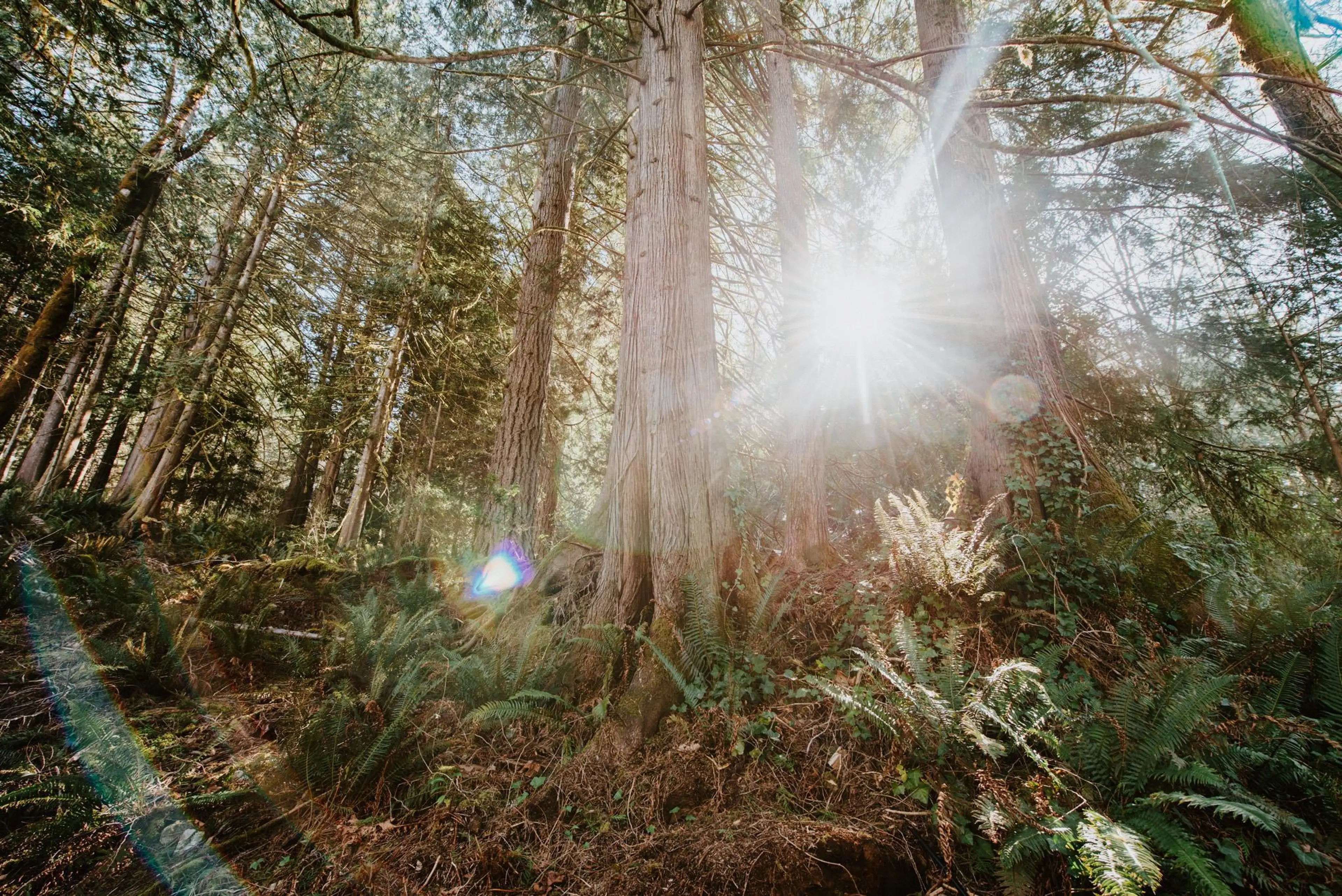 Property at 5735 NAYLOR ROAD, Sechelt, BC