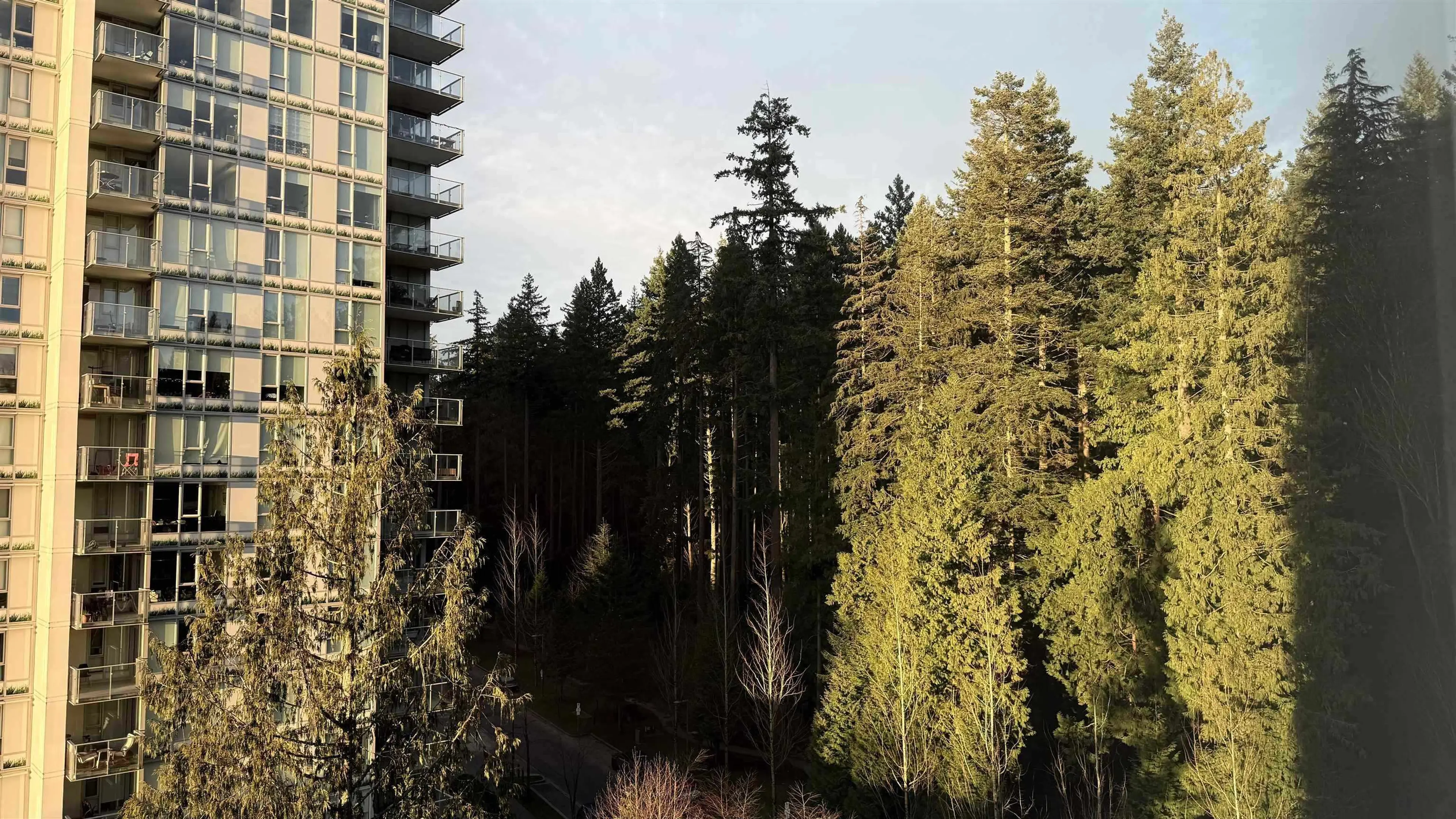 Property at #1004 5629 BIRNEY AVENUE, Vancouver, BC