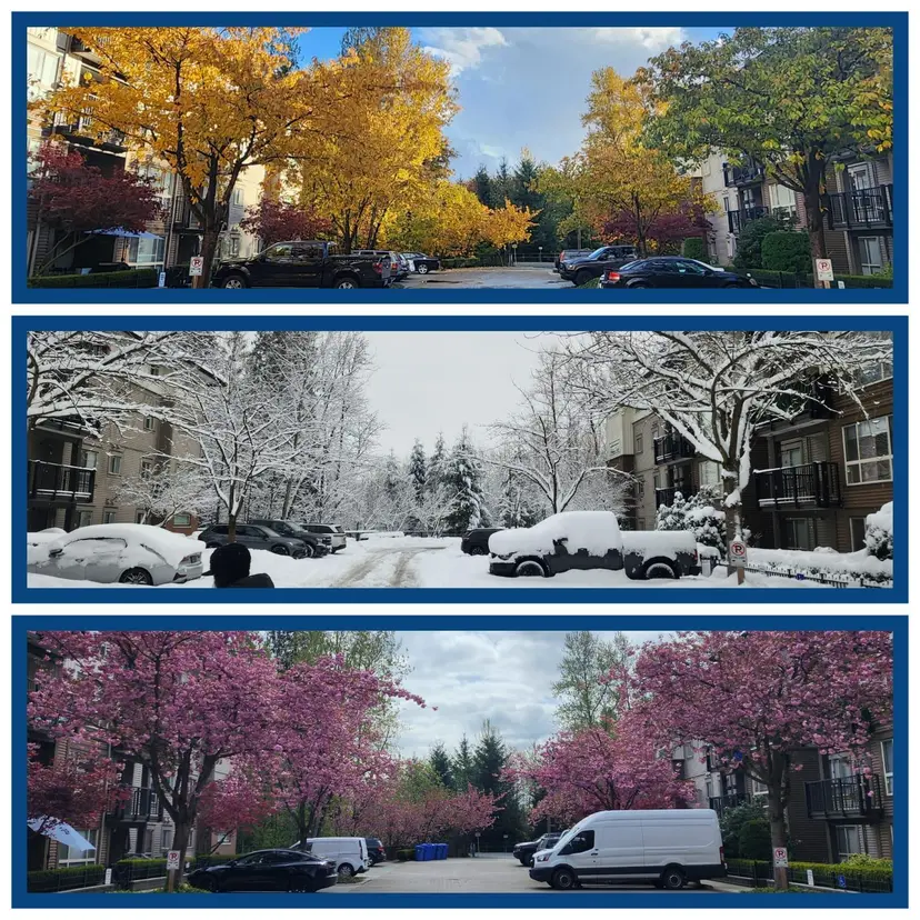 Property at ••• Haney Bypass, Maple Ridge, BC