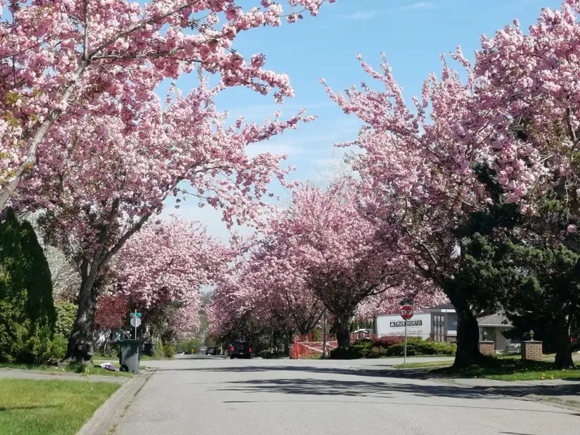 Property at ••• 101 Avenue, Surrey, BC